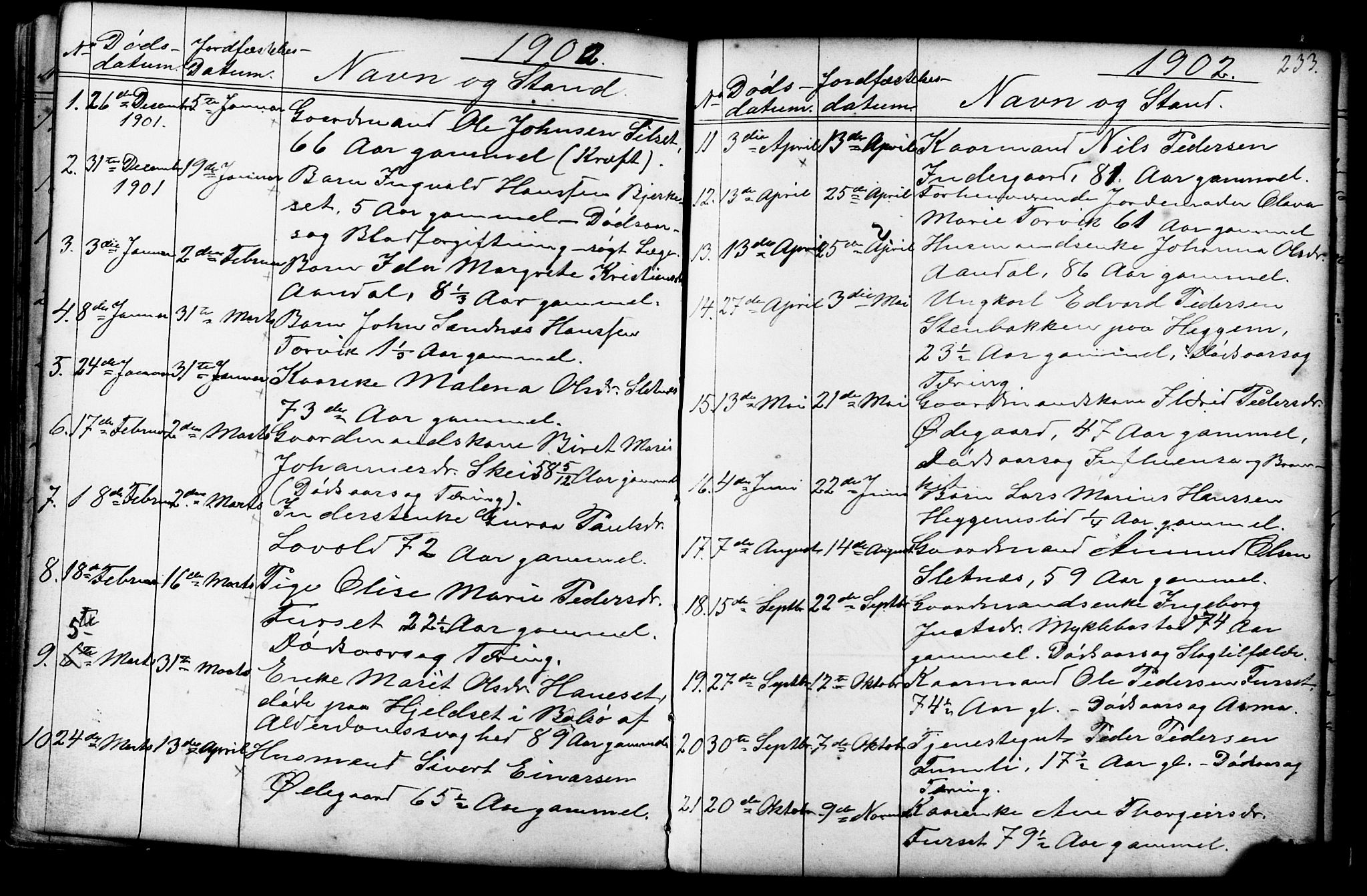 Ministerialprotokoller, klokkerbøker og fødselsregistre - Møre og Romsdal, AV/SAT-A-1454/584/L0969: Parish register (copy) no. 584C02, 1877-1911, p. 233