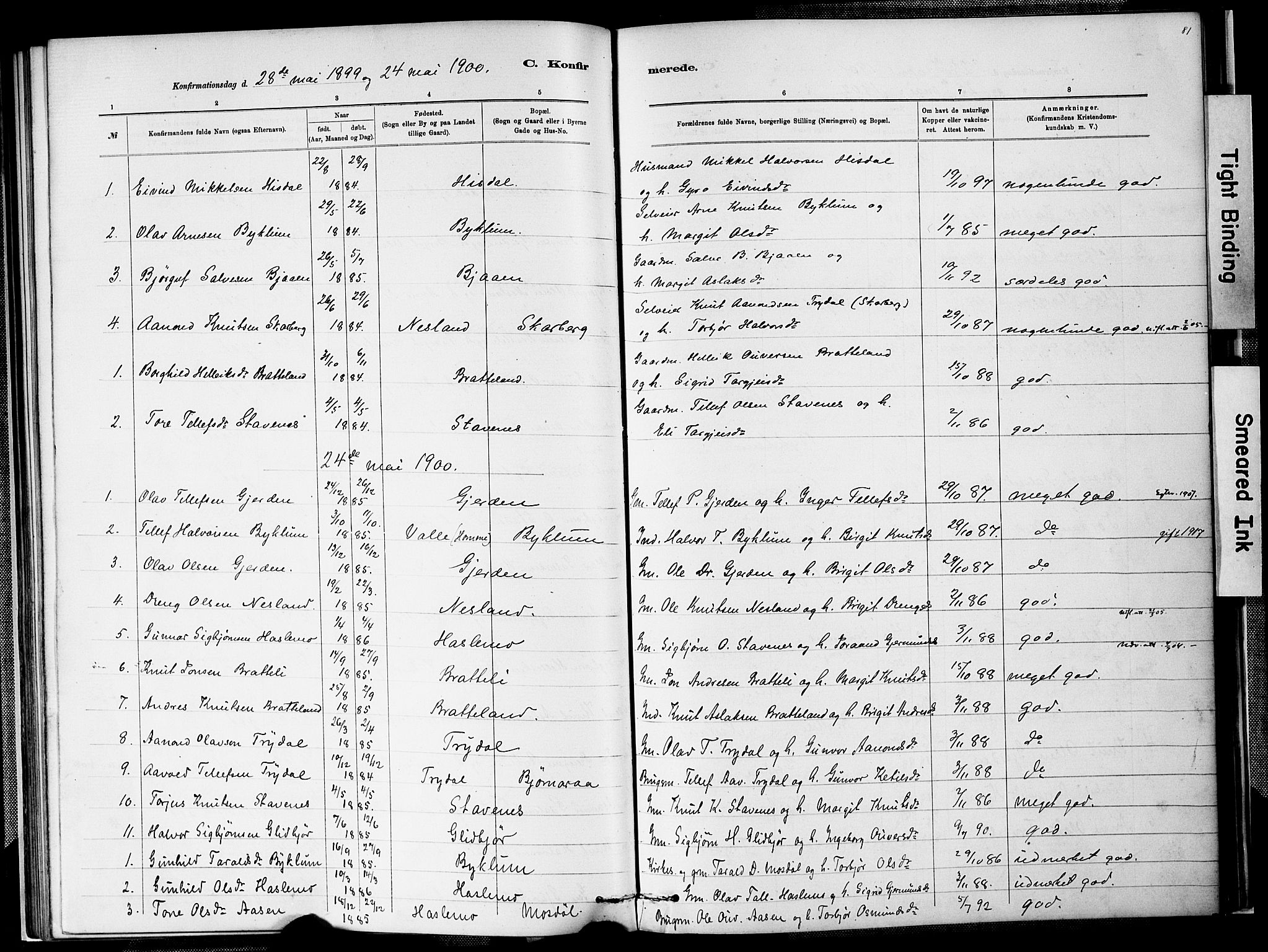 Valle sokneprestkontor, SAK/1111-0044/F/Fa/Faa/L0001: Parish register (official) no. A 1, 1882-1907, p. 81