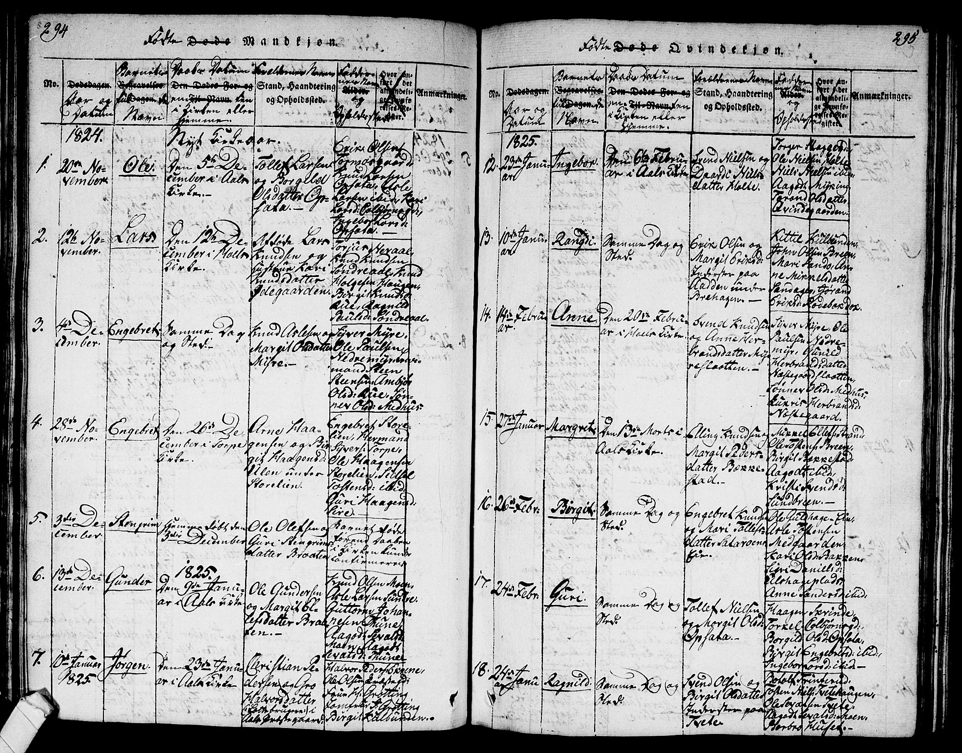 Ål kirkebøker, AV/SAKO-A-249/G/Ga/L0001: Parish register (copy) no. 1, 1815-1829, p. 294-295