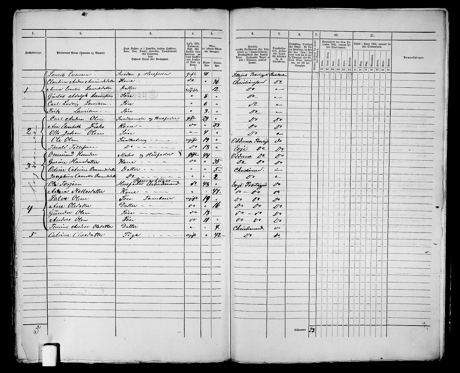 RA, 1865 census for Kristiansand, 1865, p. 1021