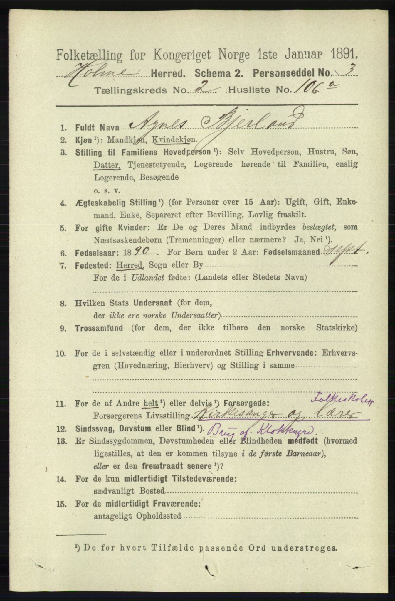 RA, 1891 census for 1020 Holum, 1891, p. 773