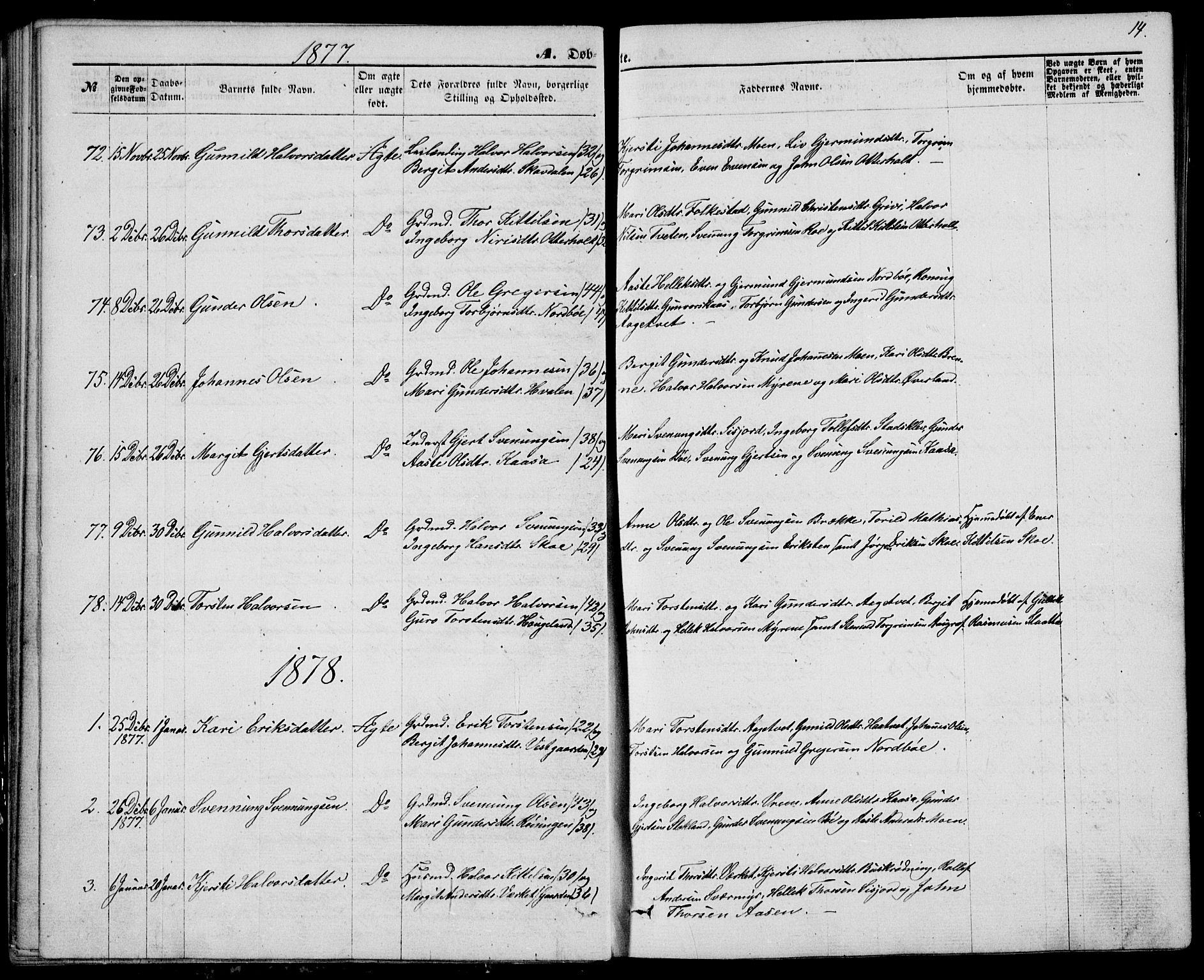 Bø kirkebøker, SAKO/A-257/G/Ga/L0004: Parish register (copy) no. 4, 1876-1882, p. 14