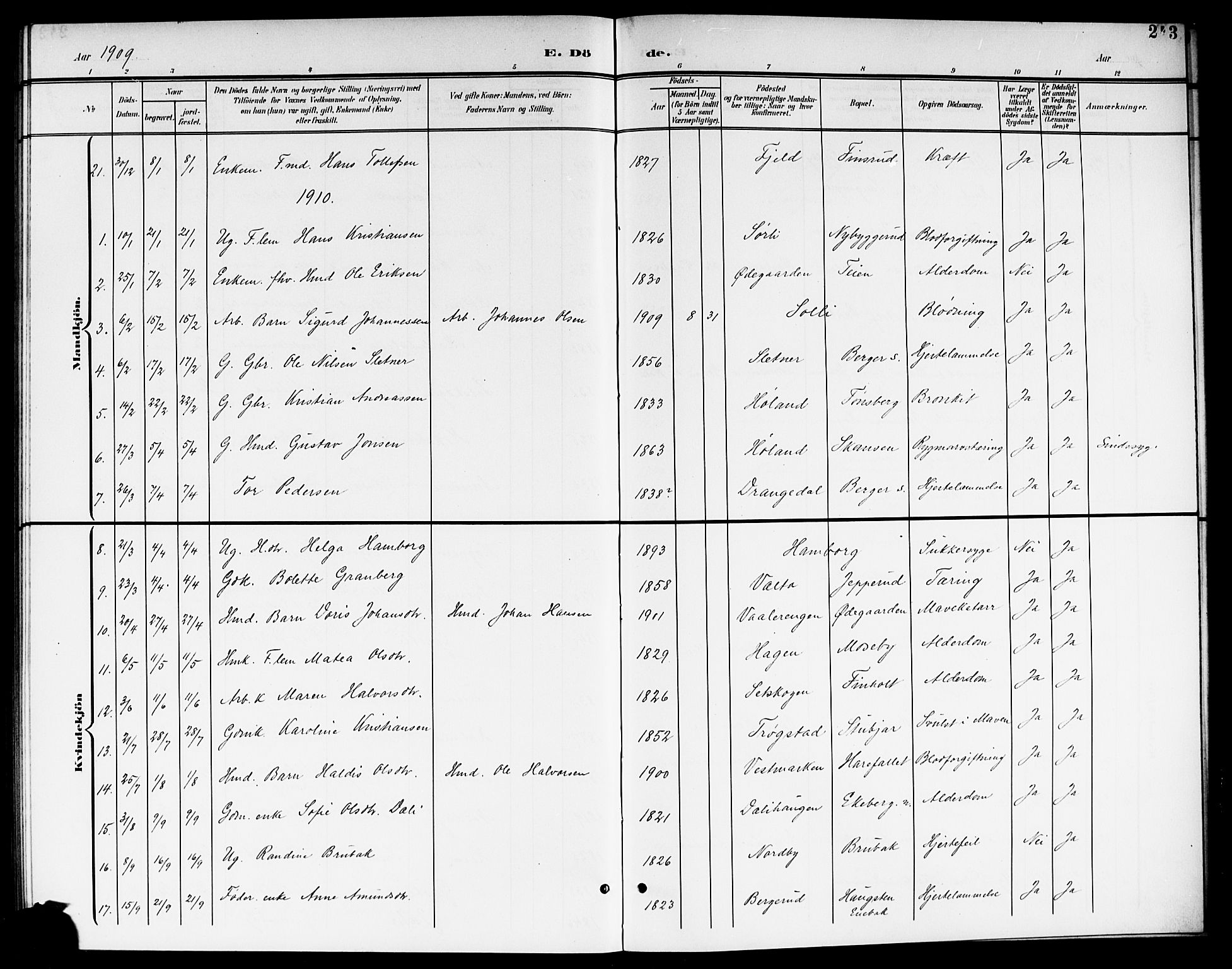 Aurskog prestekontor Kirkebøker, AV/SAO-A-10304a/G/Ga/L0004: Parish register (copy) no. I 4, 1901-1921, p. 243