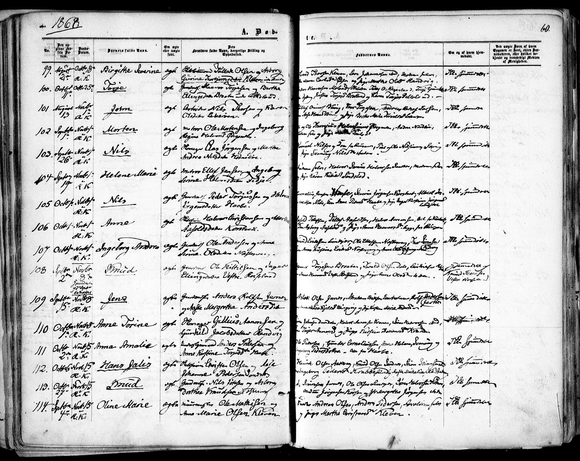 Søndeled sokneprestkontor, SAK/1111-0038/F/Fa/L0003: Parish register (official) no. A 3, 1861-1879, p. 60