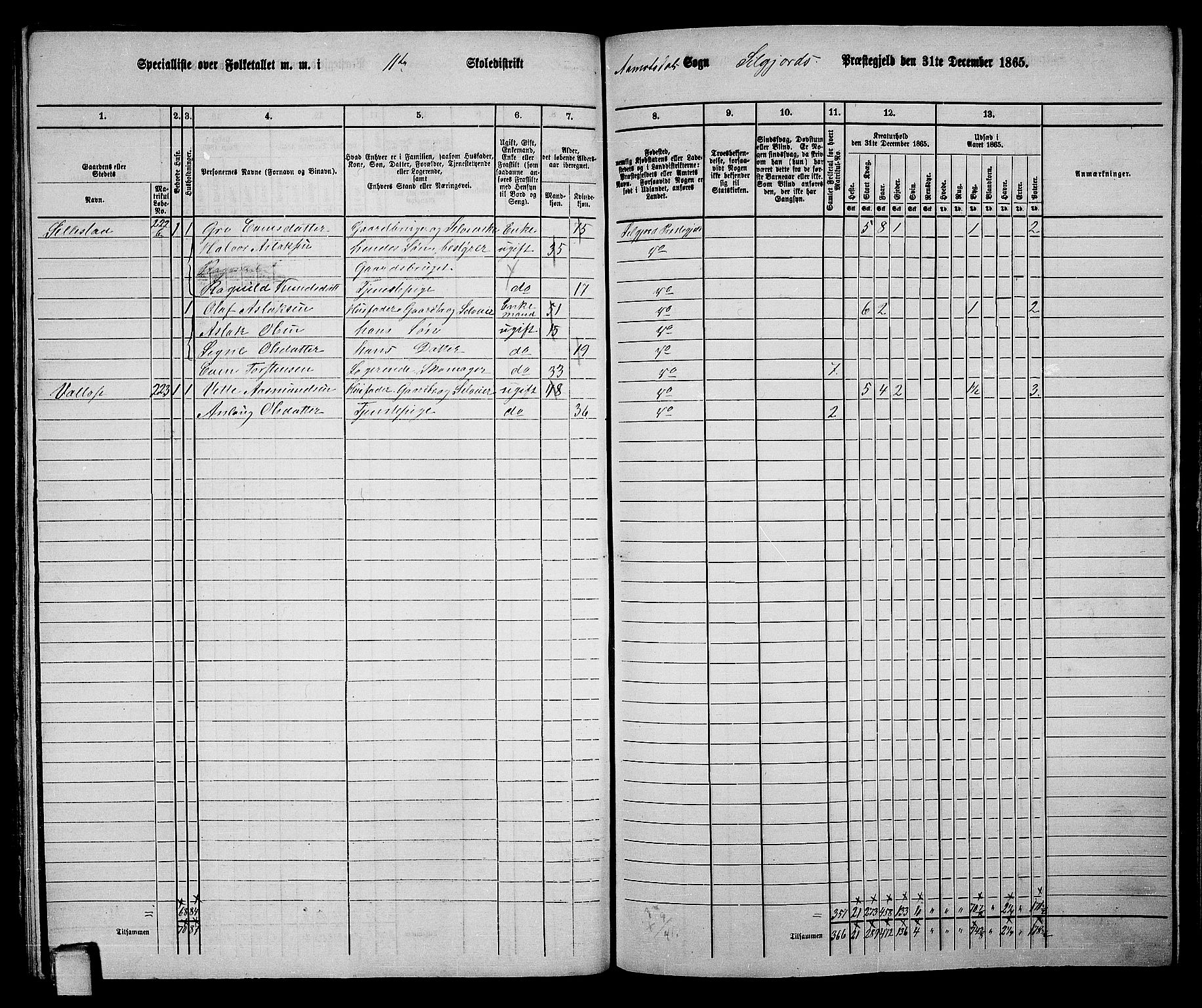 RA, 1865 census for Seljord, 1865, p. 160