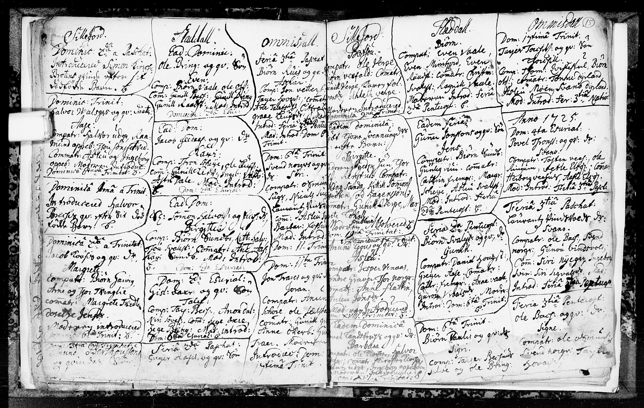 Seljord kirkebøker, SAKO/A-20/F/Fa/L0003: Parish register (official) no. I 3, 1714-1725, p. 15
