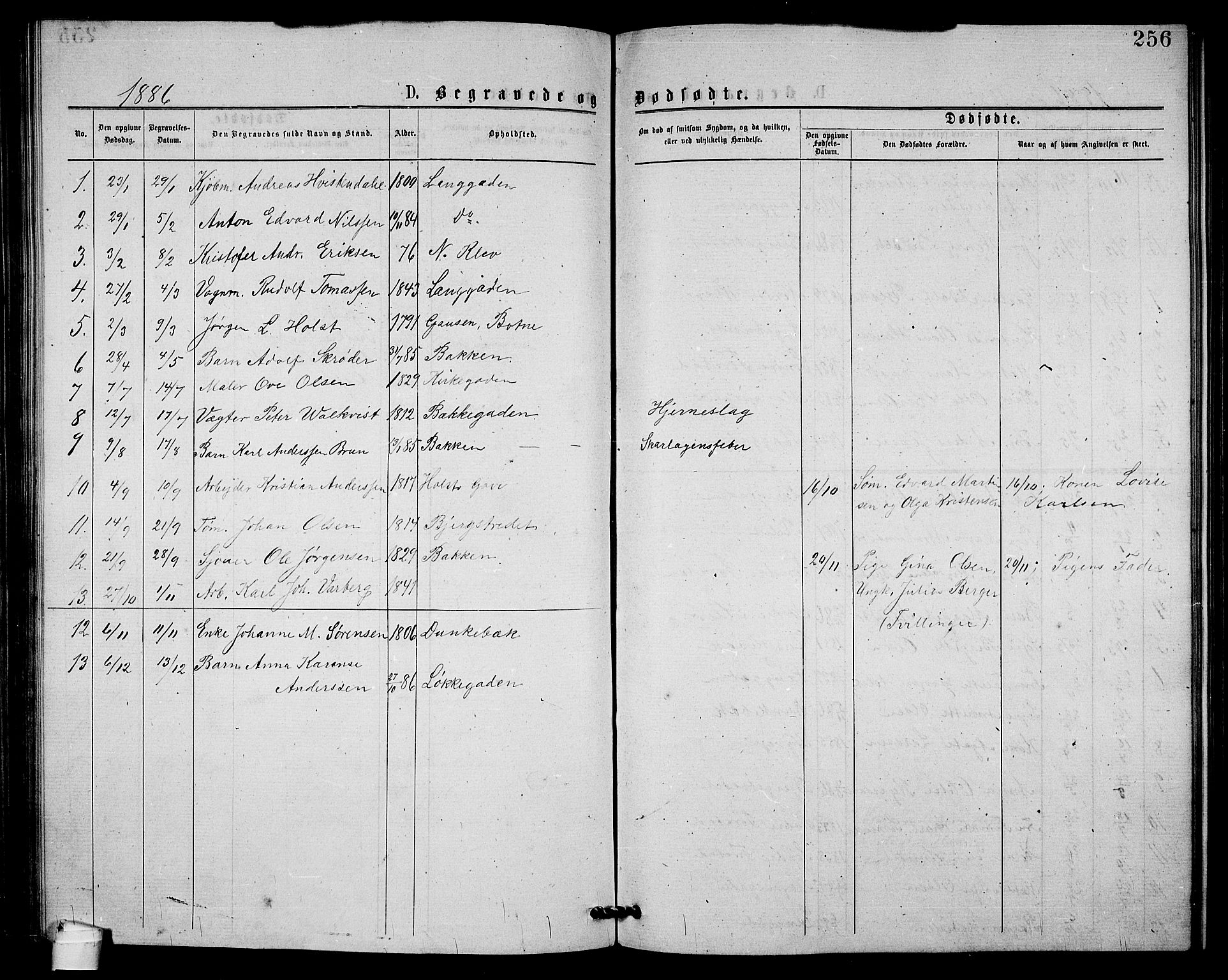 Holmestrand kirkebøker, AV/SAKO-A-346/G/Ga/L0004: Parish register (copy) no. 4, 1874-1888, p. 256