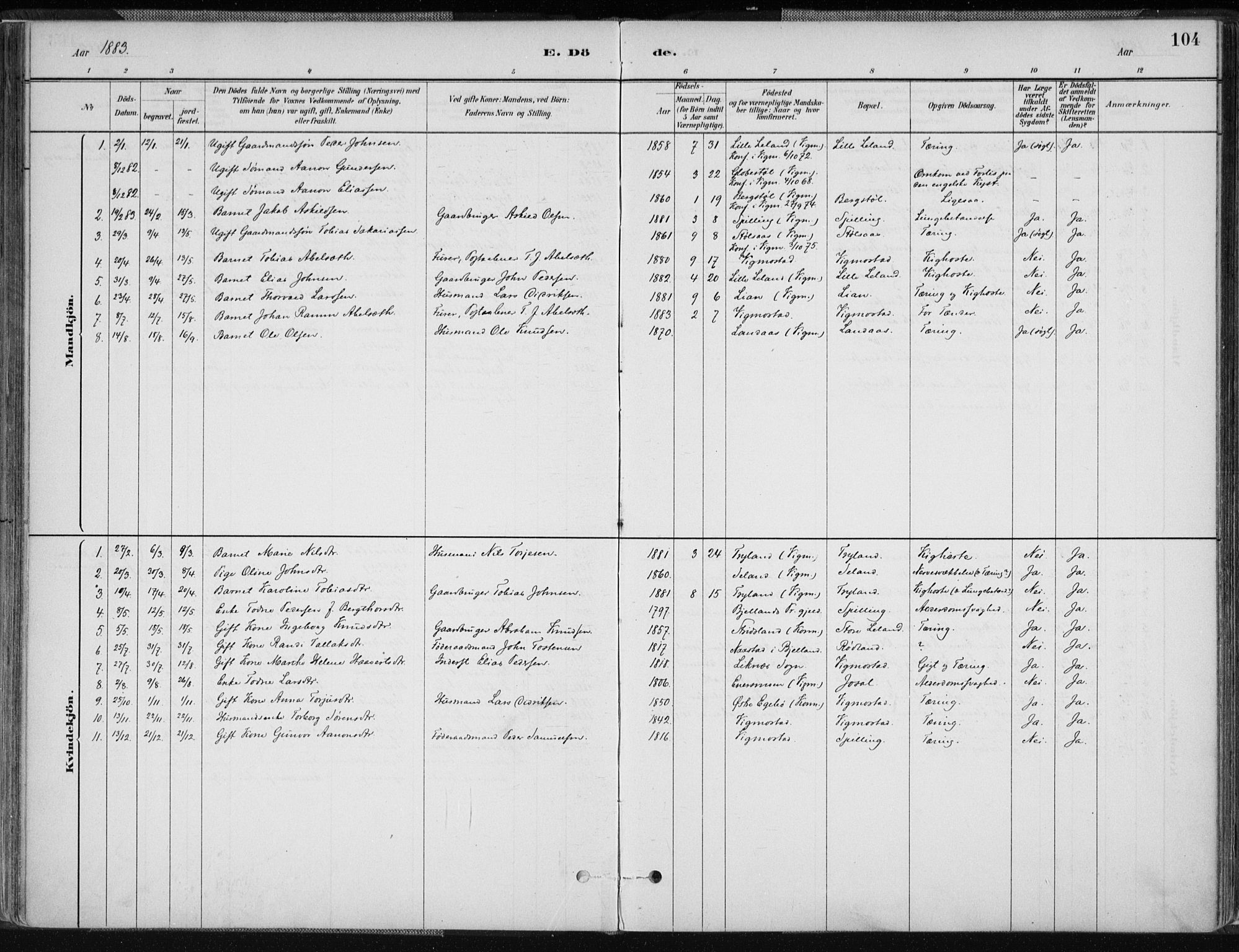 Nord-Audnedal sokneprestkontor, AV/SAK-1111-0032/F/Fa/Fab/L0003: Parish register (official) no. A 3, 1882-1900, p. 104