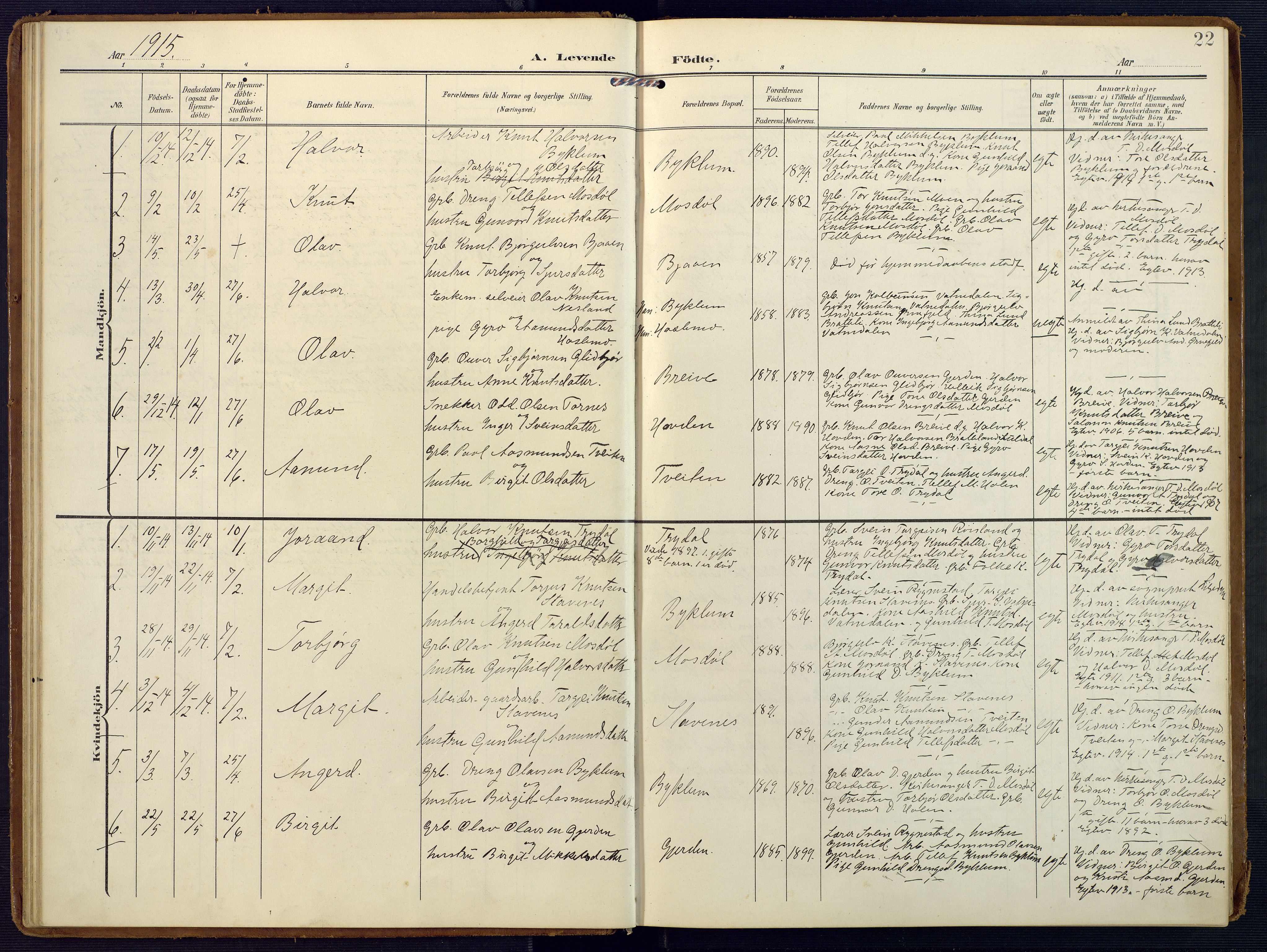 Valle sokneprestkontor, SAK/1111-0044/F/Fa/Faa/L0002: Parish register (official) no. A 2, 1907-1919, p. 22