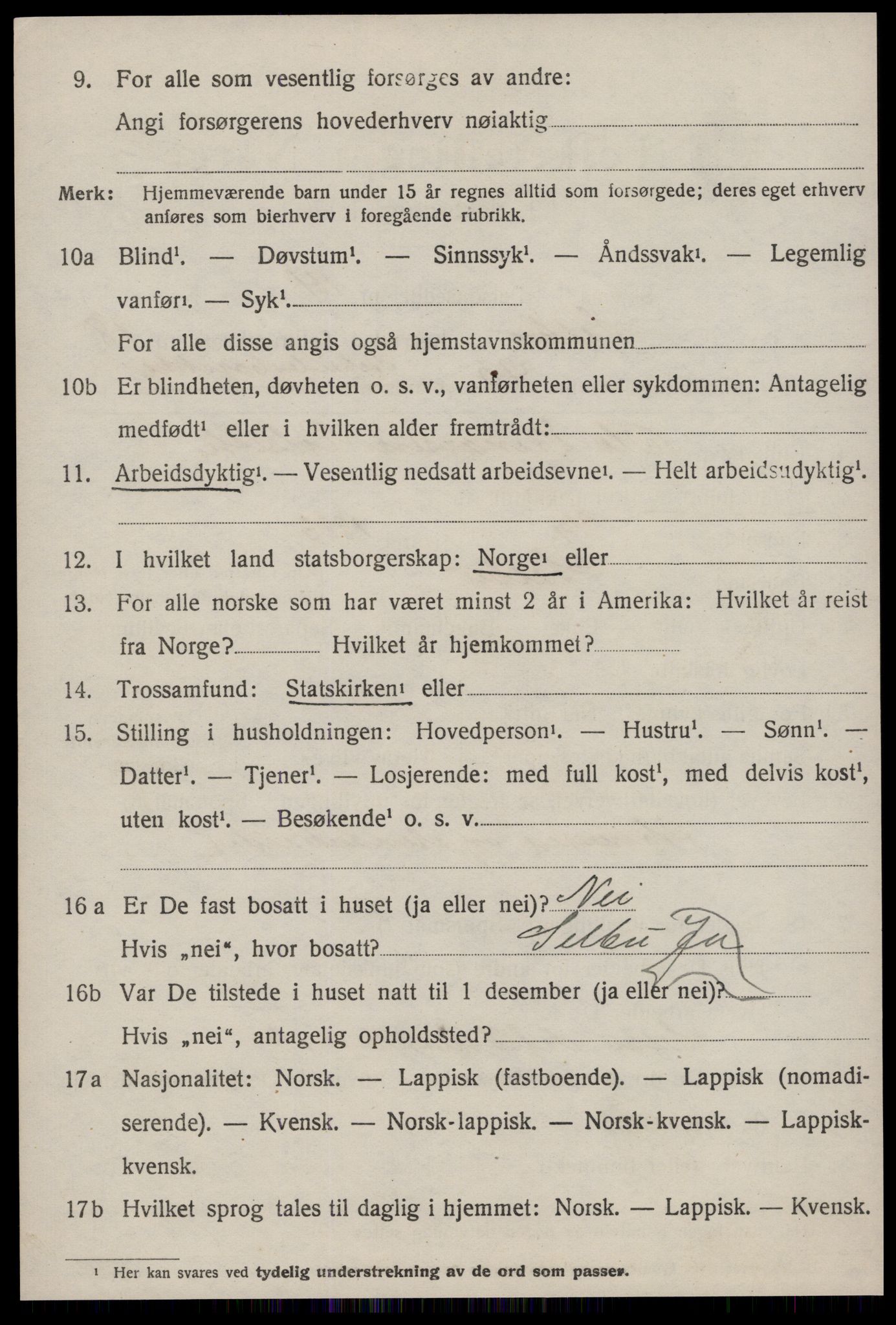 SAT, 1920 census for Selbu, 1920, p. 9869