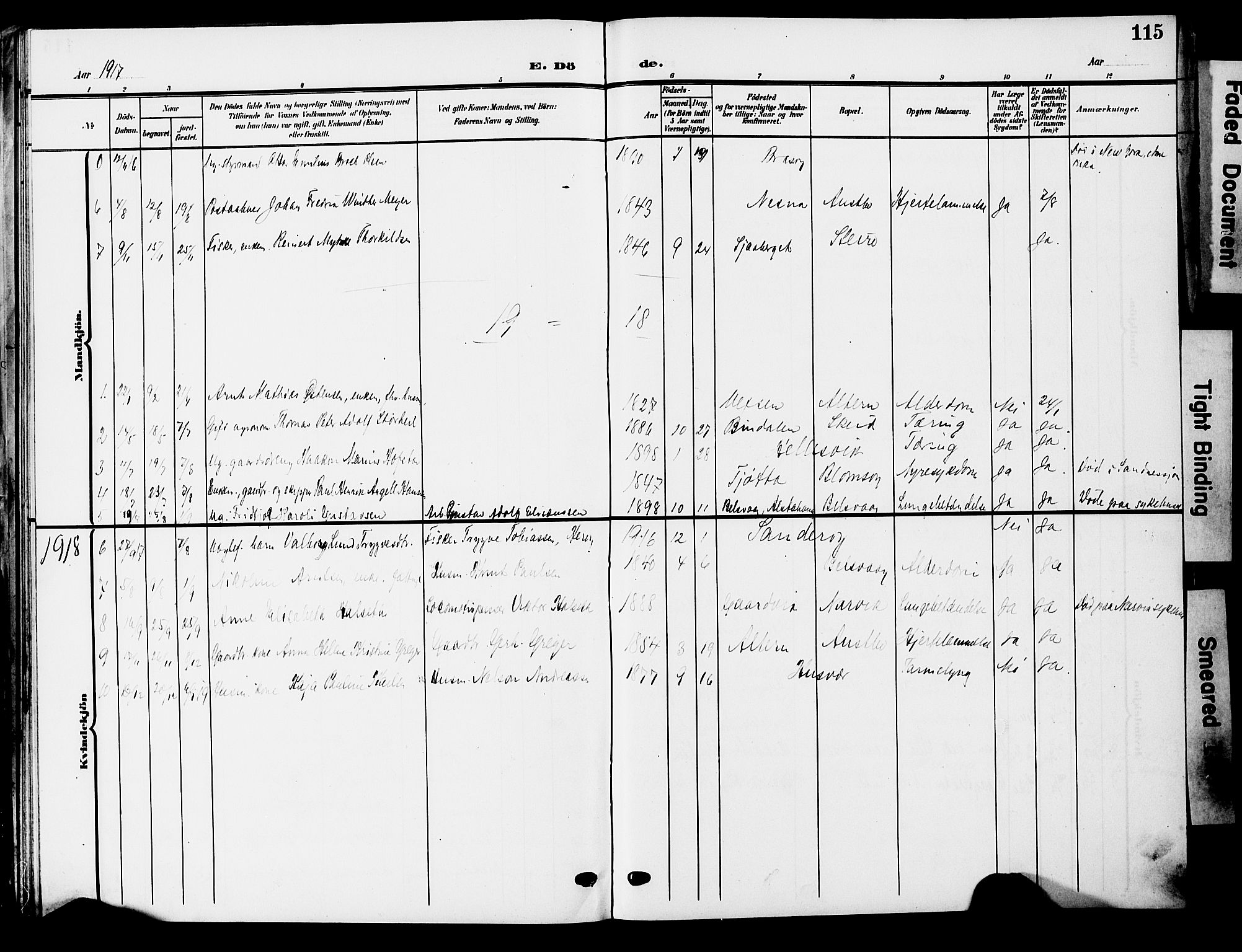 Ministerialprotokoller, klokkerbøker og fødselsregistre - Nordland, AV/SAT-A-1459/830/L0464: Parish register (copy) no. 830C06, 1906-1925, p. 115