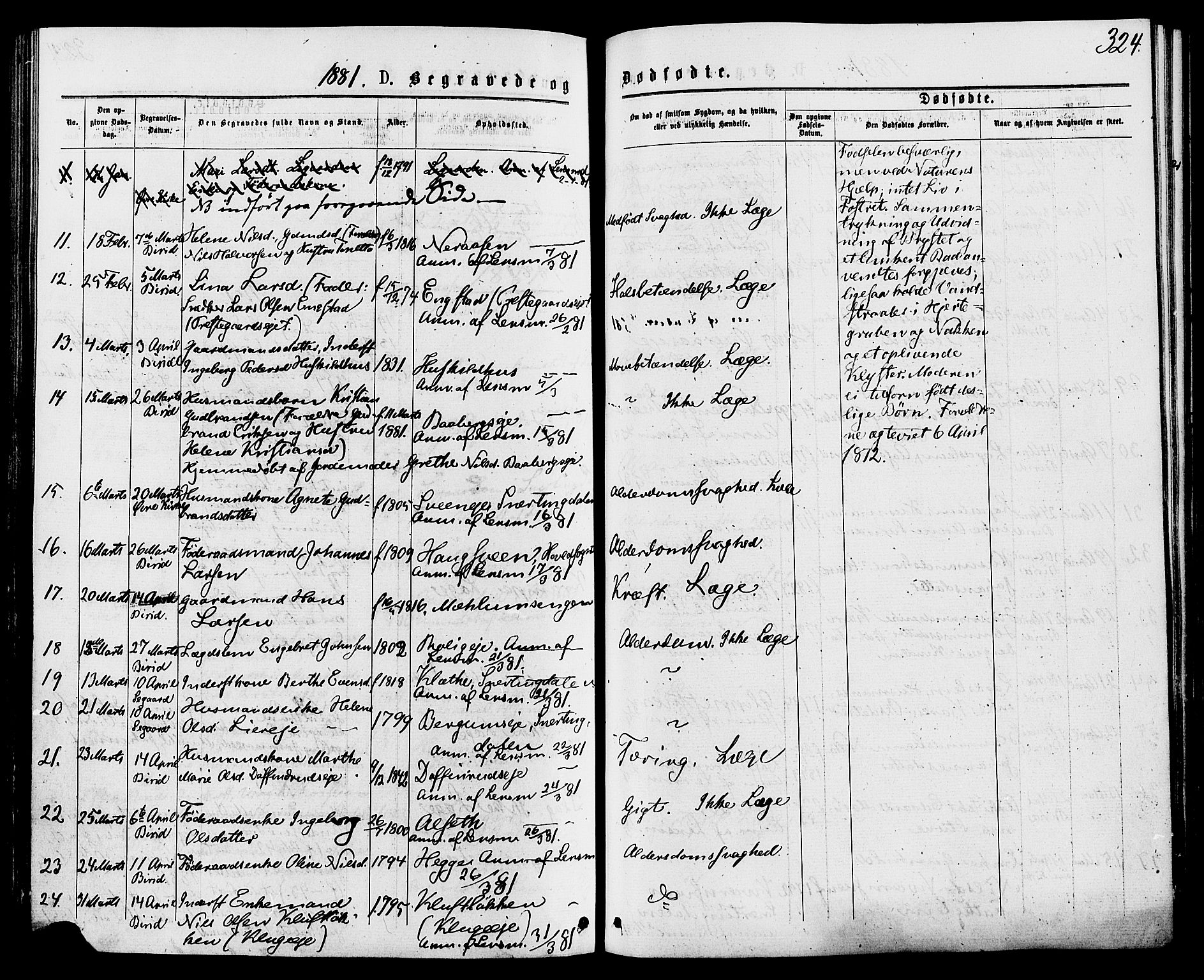 Biri prestekontor, SAH/PREST-096/H/Ha/Haa/L0006: Parish register (official) no. 6, 1877-1886, p. 324