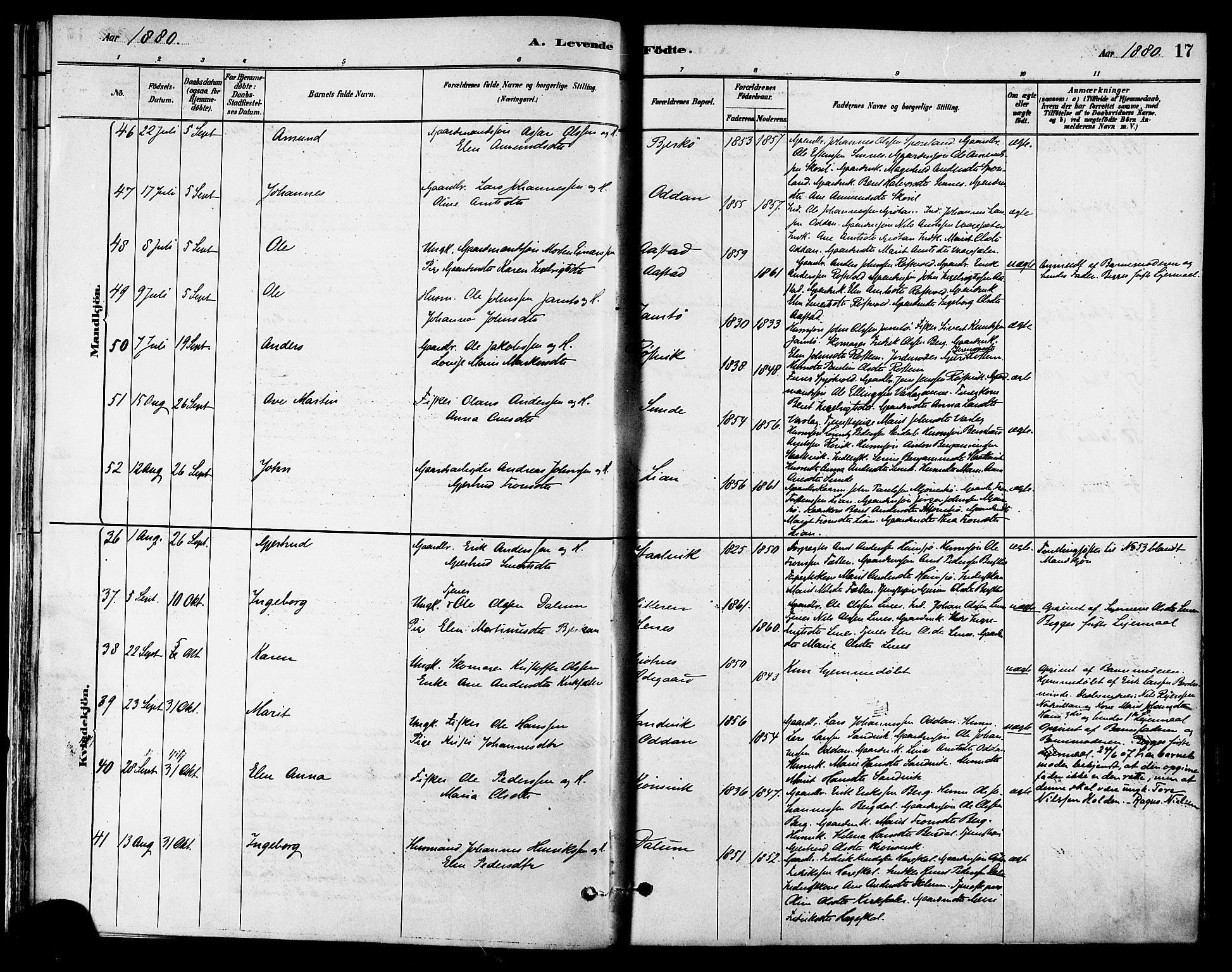 Ministerialprotokoller, klokkerbøker og fødselsregistre - Sør-Trøndelag, SAT/A-1456/630/L0496: Parish register (official) no. 630A09, 1879-1895, p. 17