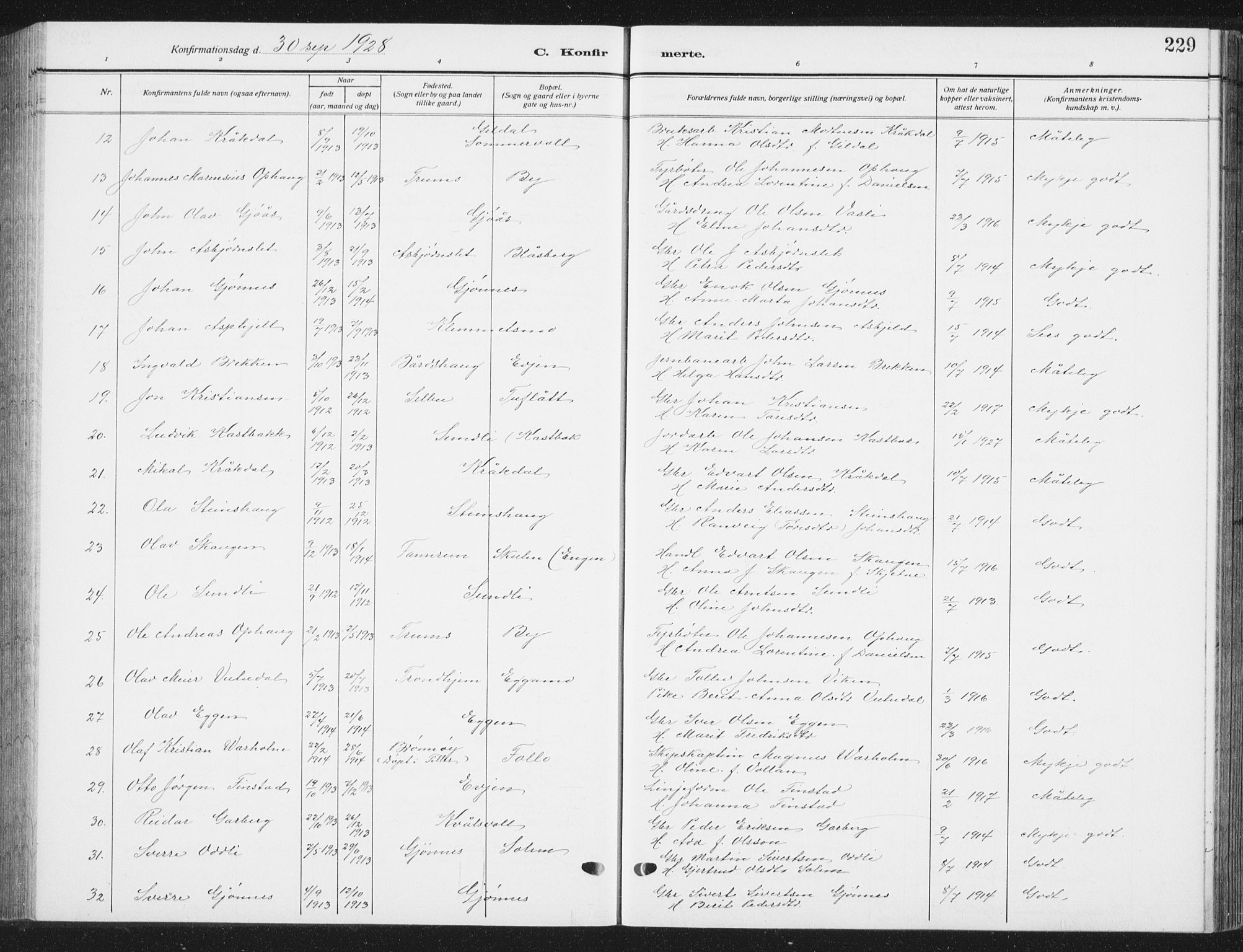 Ministerialprotokoller, klokkerbøker og fødselsregistre - Sør-Trøndelag, SAT/A-1456/668/L0820: Parish register (copy) no. 668C09, 1912-1936, p. 229