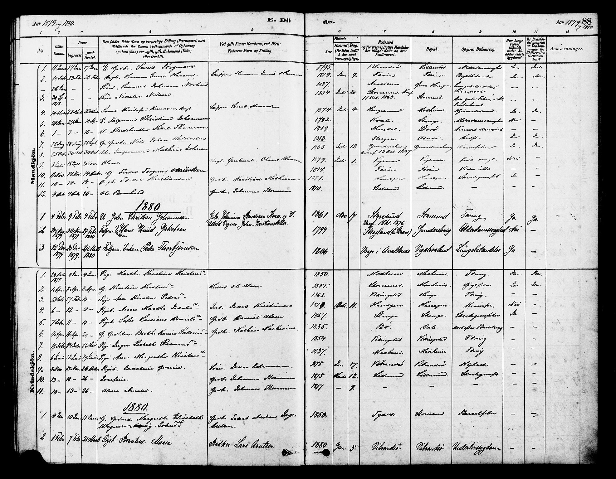 Torvastad sokneprestkontor, SAST/A -101857/H/Ha/Haa/L0014: Parish register (official) no. A 13, 1879-1888, p. 88