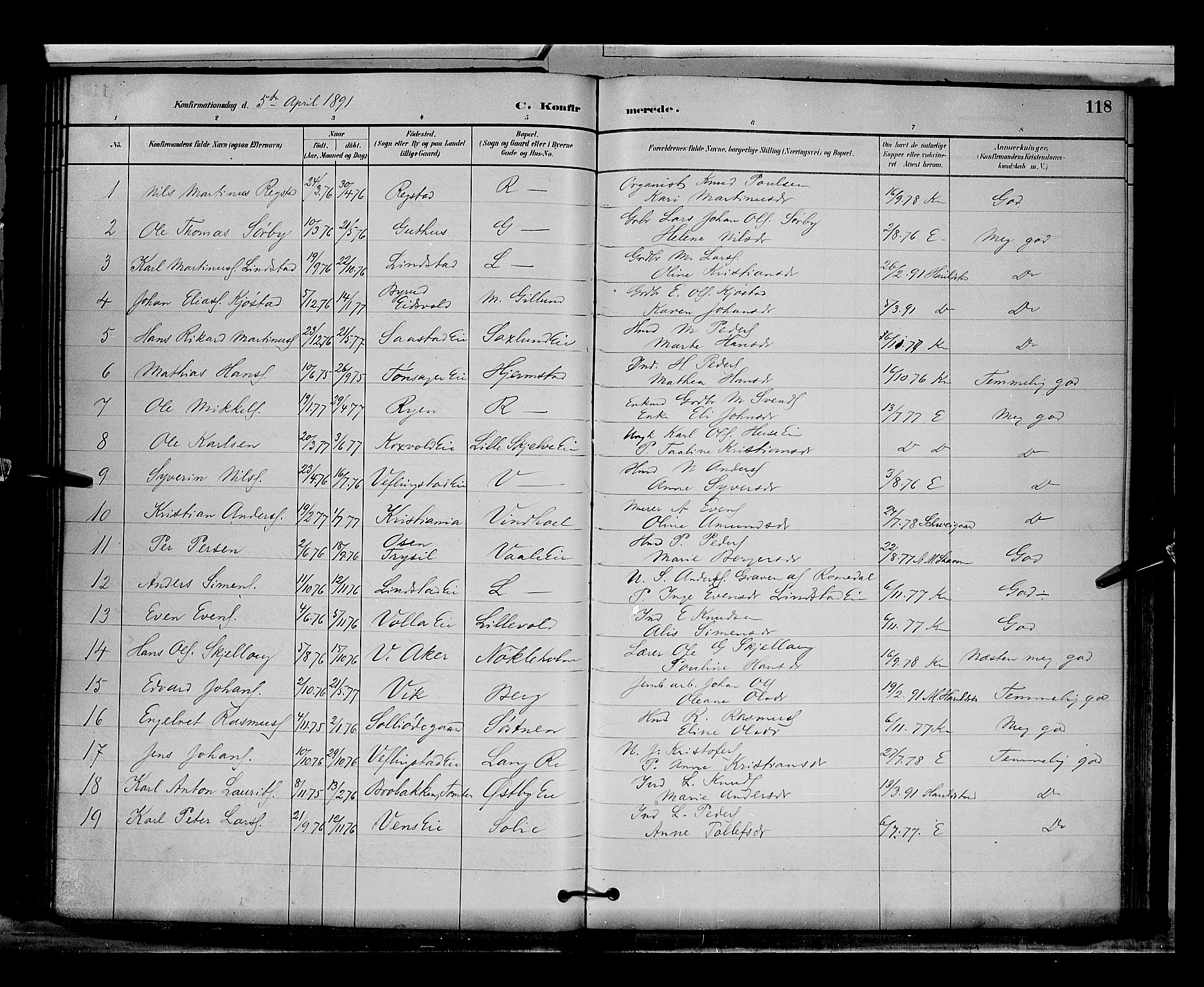 Stange prestekontor, SAH/PREST-002/L/L0009: Parish register (copy) no. 9, 1883-1899, p. 118