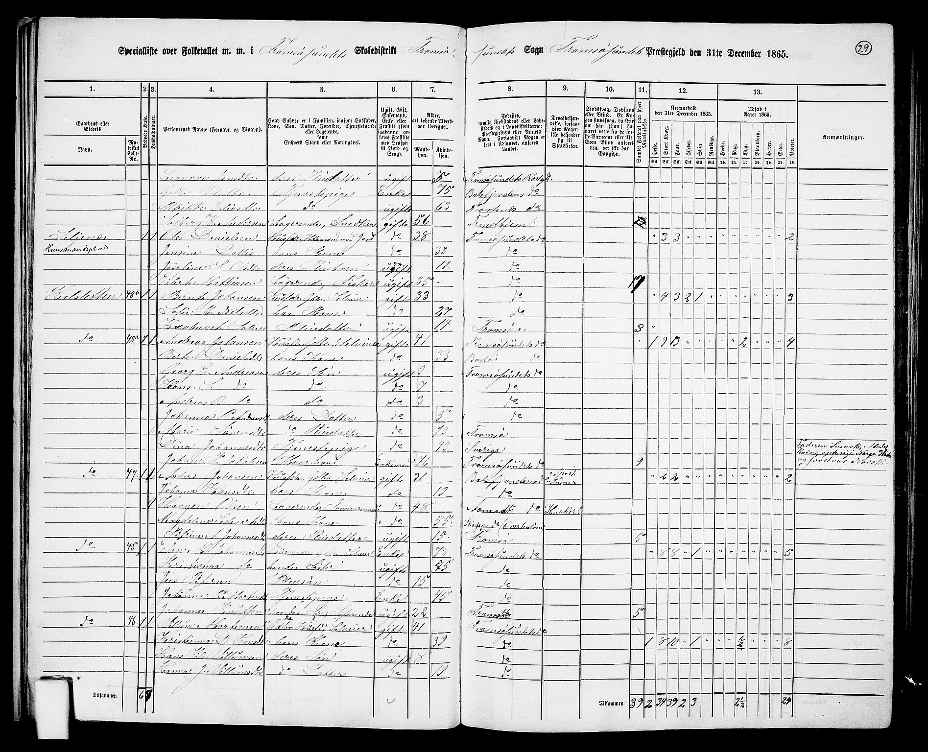 RA, 1865 census for Tromsøysund, 1865, p. 29