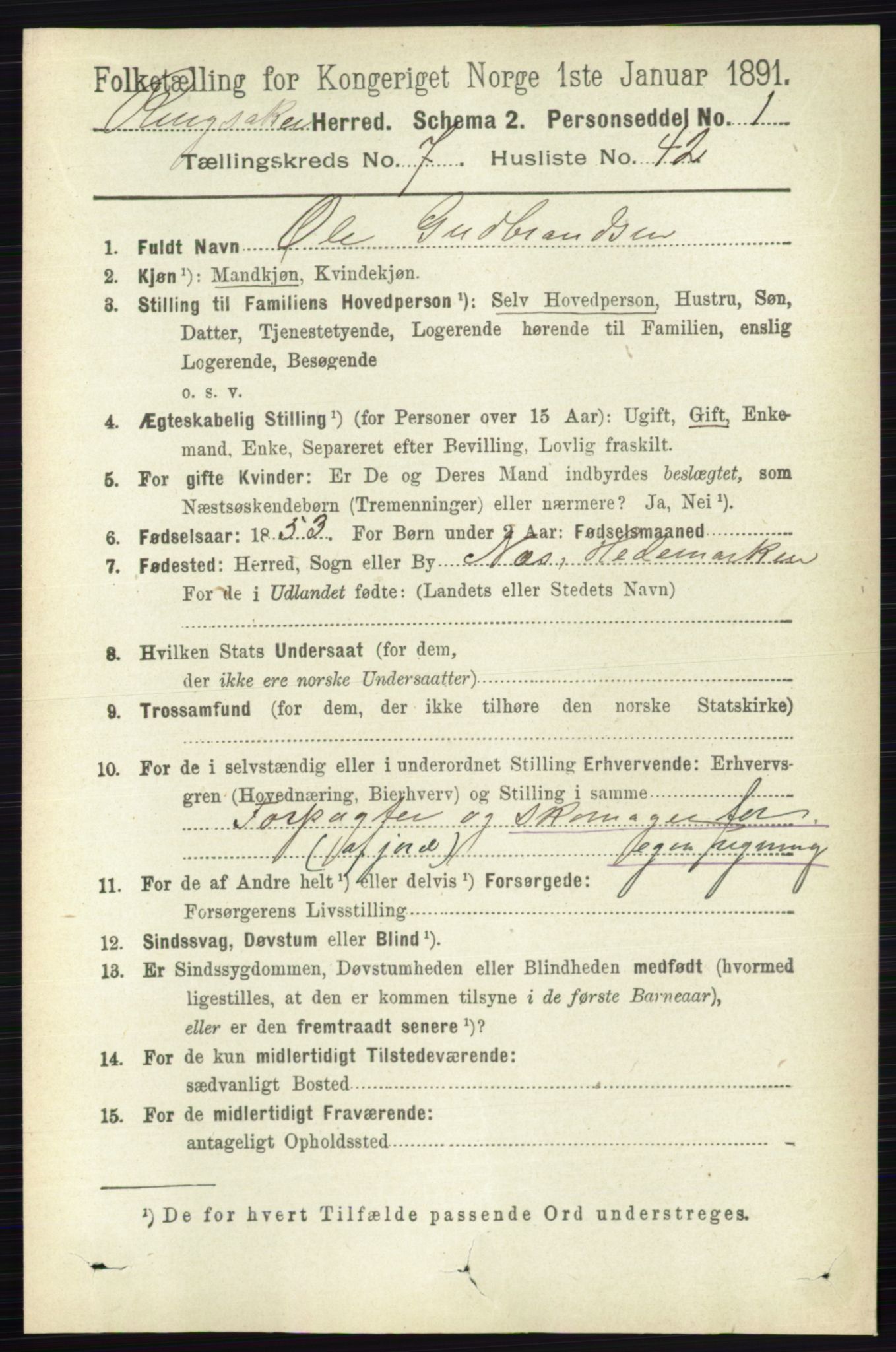 RA, 1891 census for 0412 Ringsaker, 1891, p. 4176
