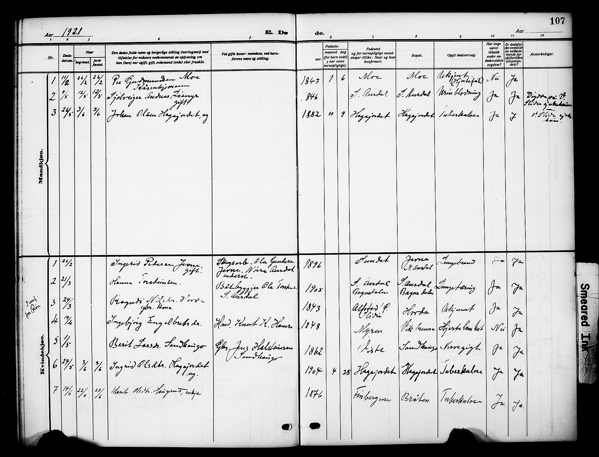 Vestre Slidre prestekontor, SAH/PREST-136/H/Ha/Hab/L0007: Parish register (copy) no. 7, 1909-1930, p. 107