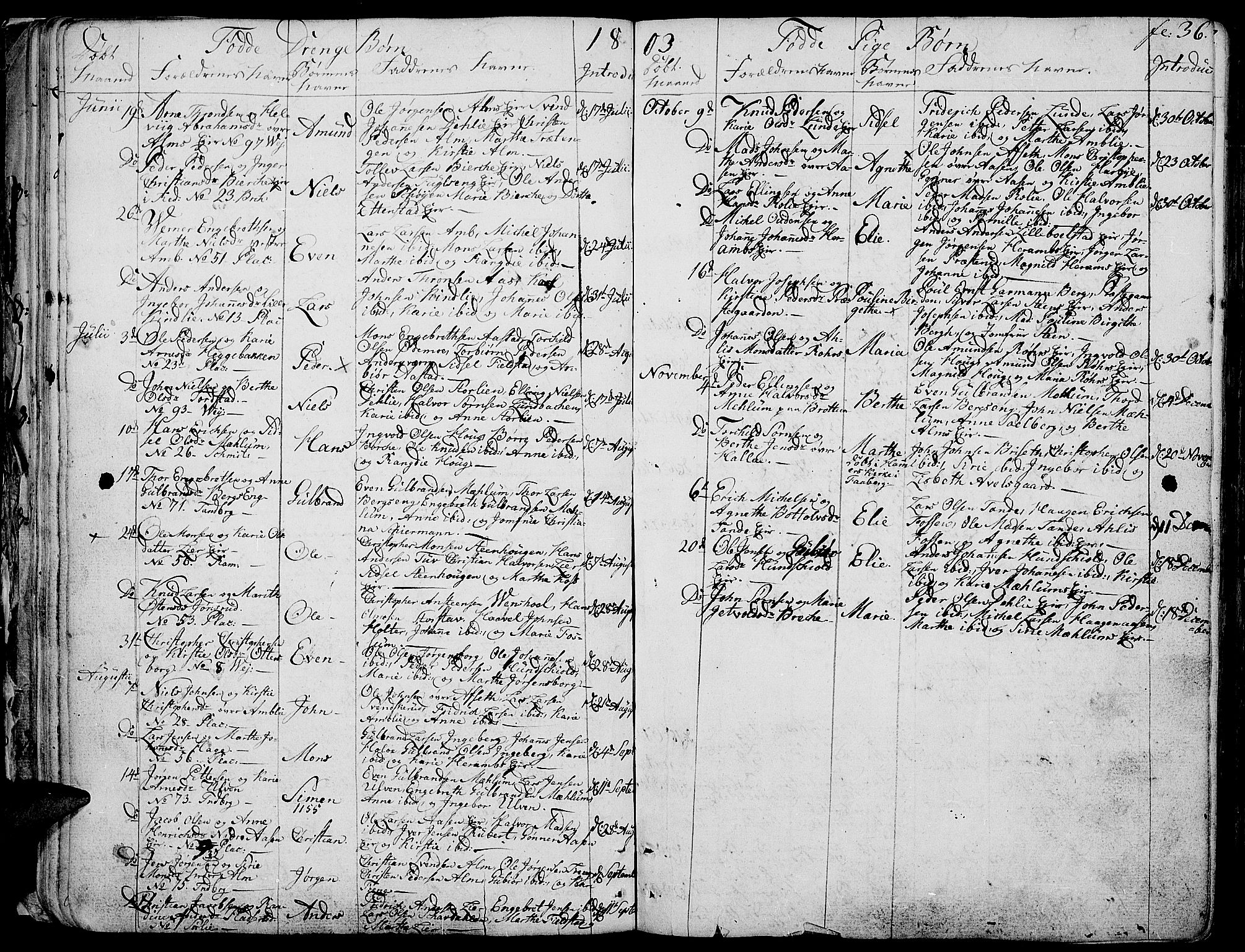 Ringsaker prestekontor, SAH/PREST-014/K/Ka/L0004: Parish register (official) no. 4, 1799-1814, p. 36