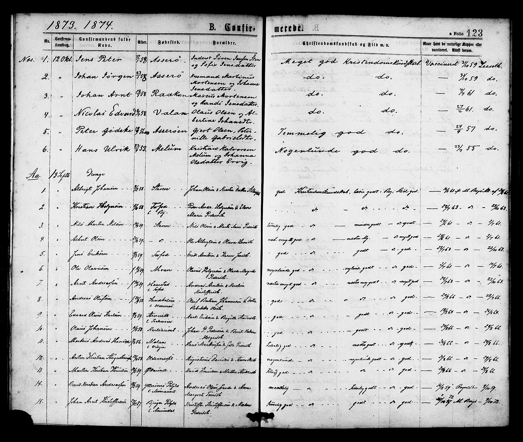 Ministerialprotokoller, klokkerbøker og fødselsregistre - Sør-Trøndelag, AV/SAT-A-1456/655/L0679: Parish register (official) no. 655A08, 1873-1879, p. 123