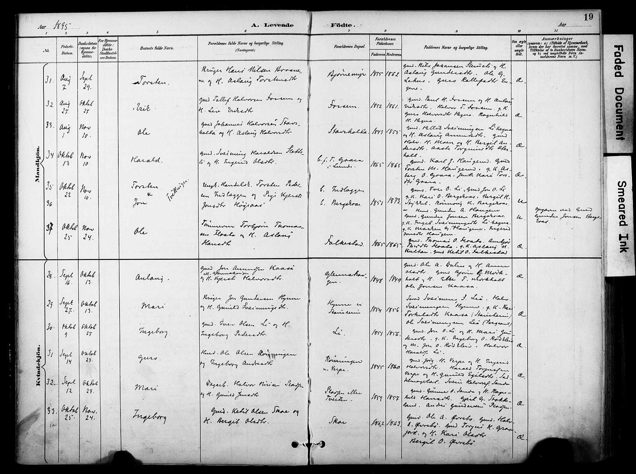 Bø kirkebøker, SAKO/A-257/F/Fa/L0011: Parish register (official) no. 11, 1892-1900, p. 19