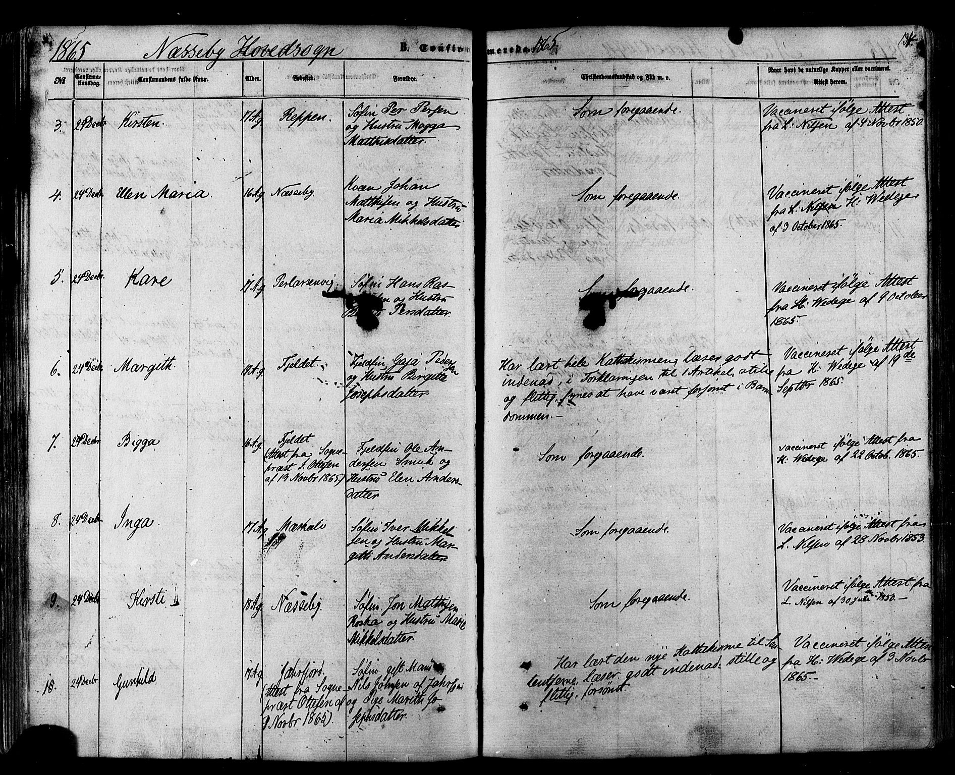 Nesseby sokneprestkontor, SATØ/S-1330/H/Ha/L0003kirke: Parish register (official) no. 3 /1, 1865-1876, p. 134