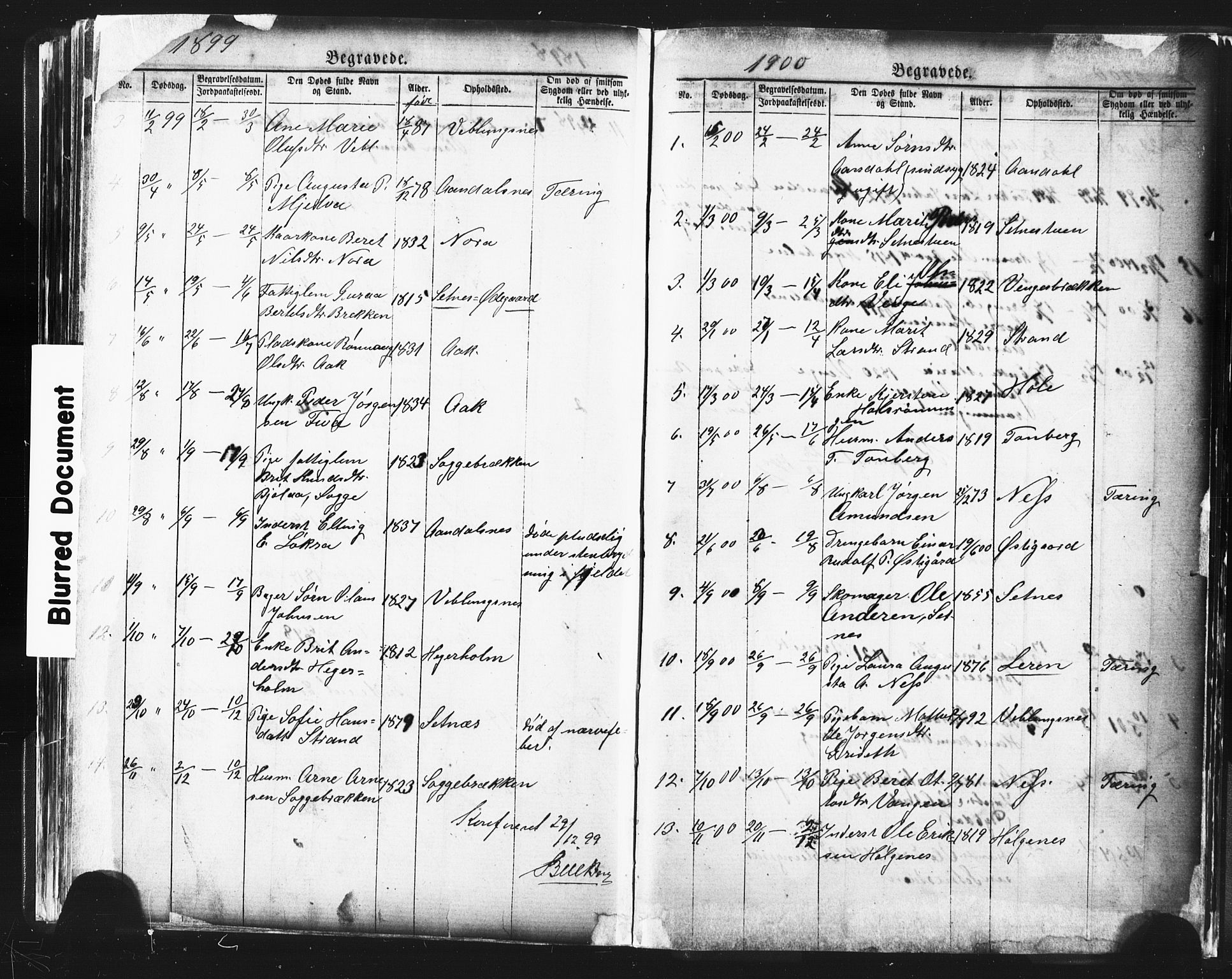 Ministerialprotokoller, klokkerbøker og fødselsregistre - Møre og Romsdal, SAT/A-1454/544/L0580: Parish register (copy) no. 544C02, 1867-1909, p. 262