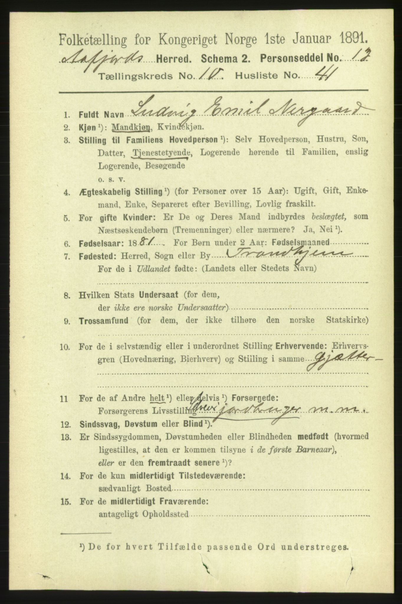 RA, 1891 census for 1630 Åfjord, 1891, p. 3241