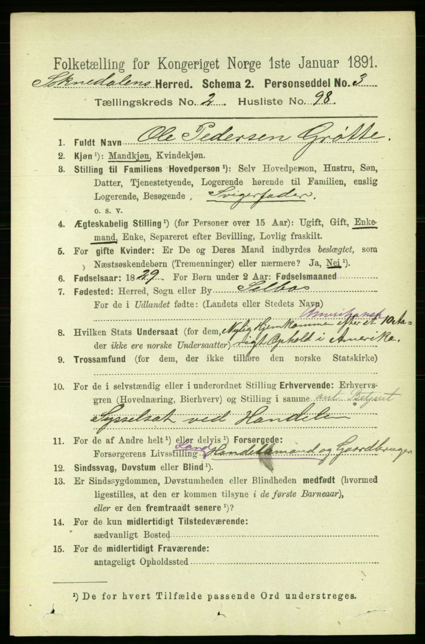 RA, 1891 census for 1649 Soknedal, 1891, p. 1087