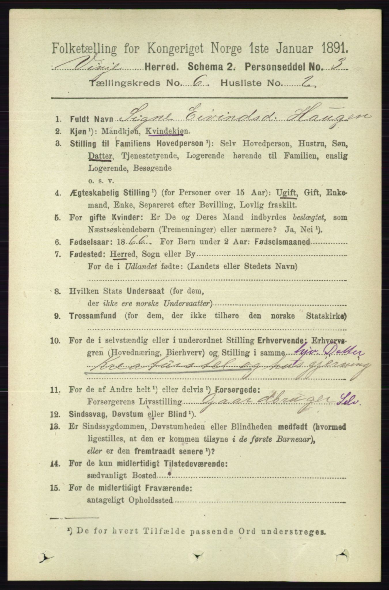 RA, 1891 census for 0834 Vinje, 1891, p. 1424