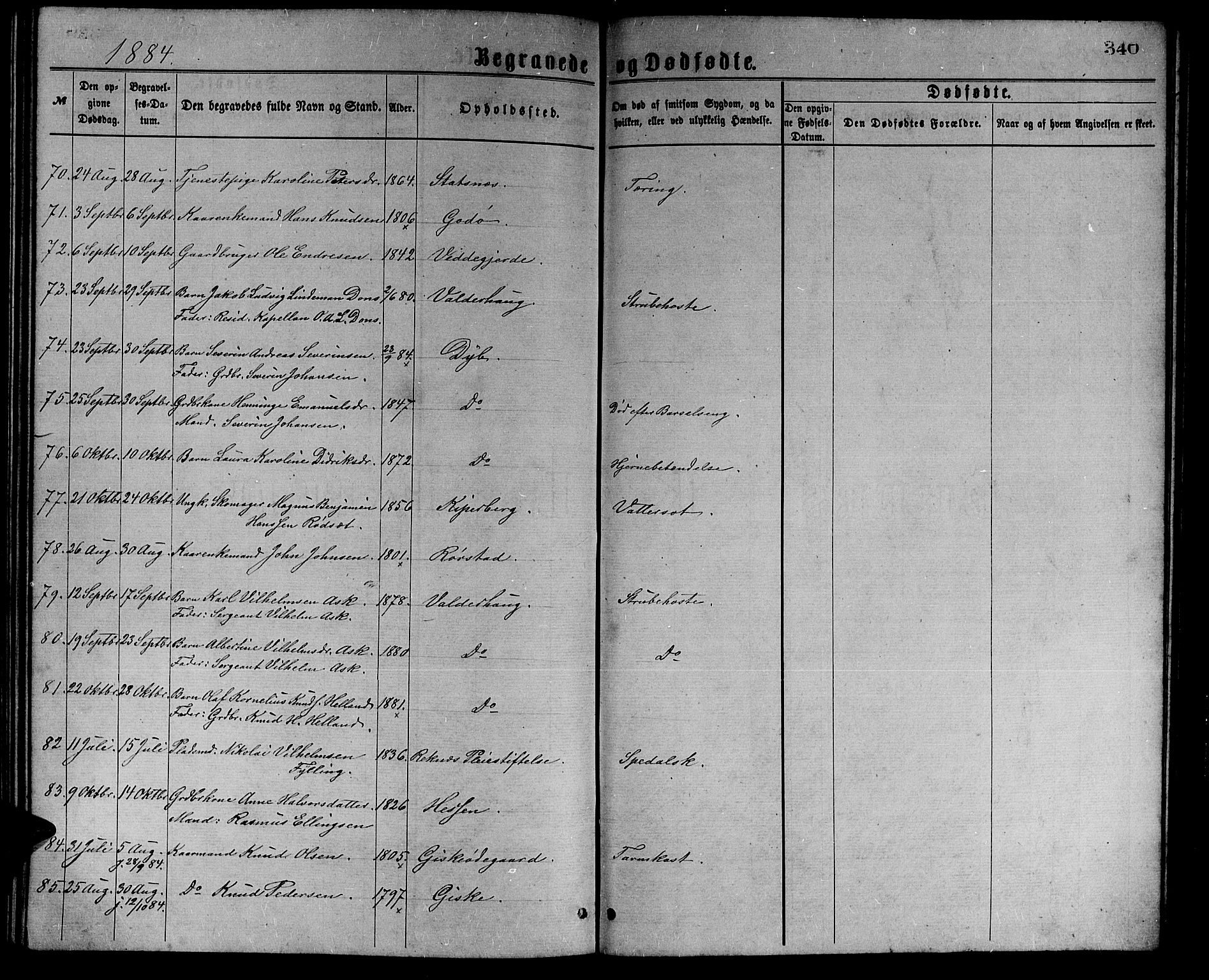 Ministerialprotokoller, klokkerbøker og fødselsregistre - Møre og Romsdal, AV/SAT-A-1454/528/L0429: Parish register (copy) no. 528C10, 1872-1886, p. 340