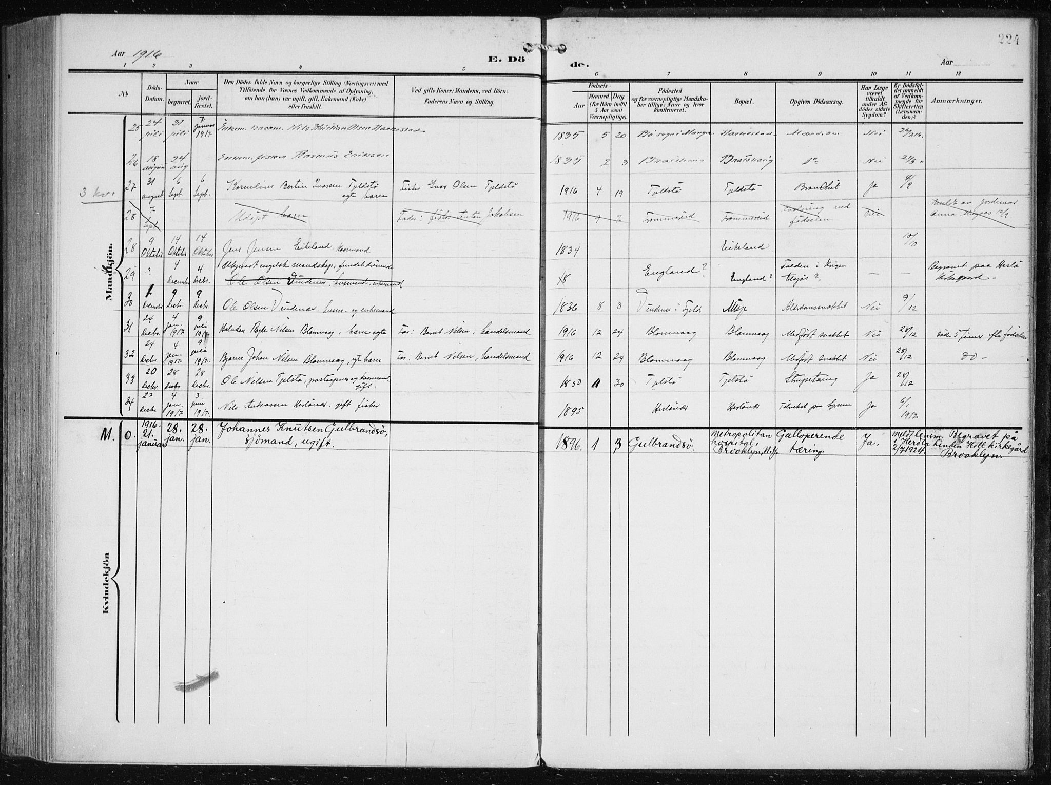 Herdla Sokneprestembete, SAB/A-75701/H/Haa: Parish register (official) no. A 5, 1905-1918, p. 224