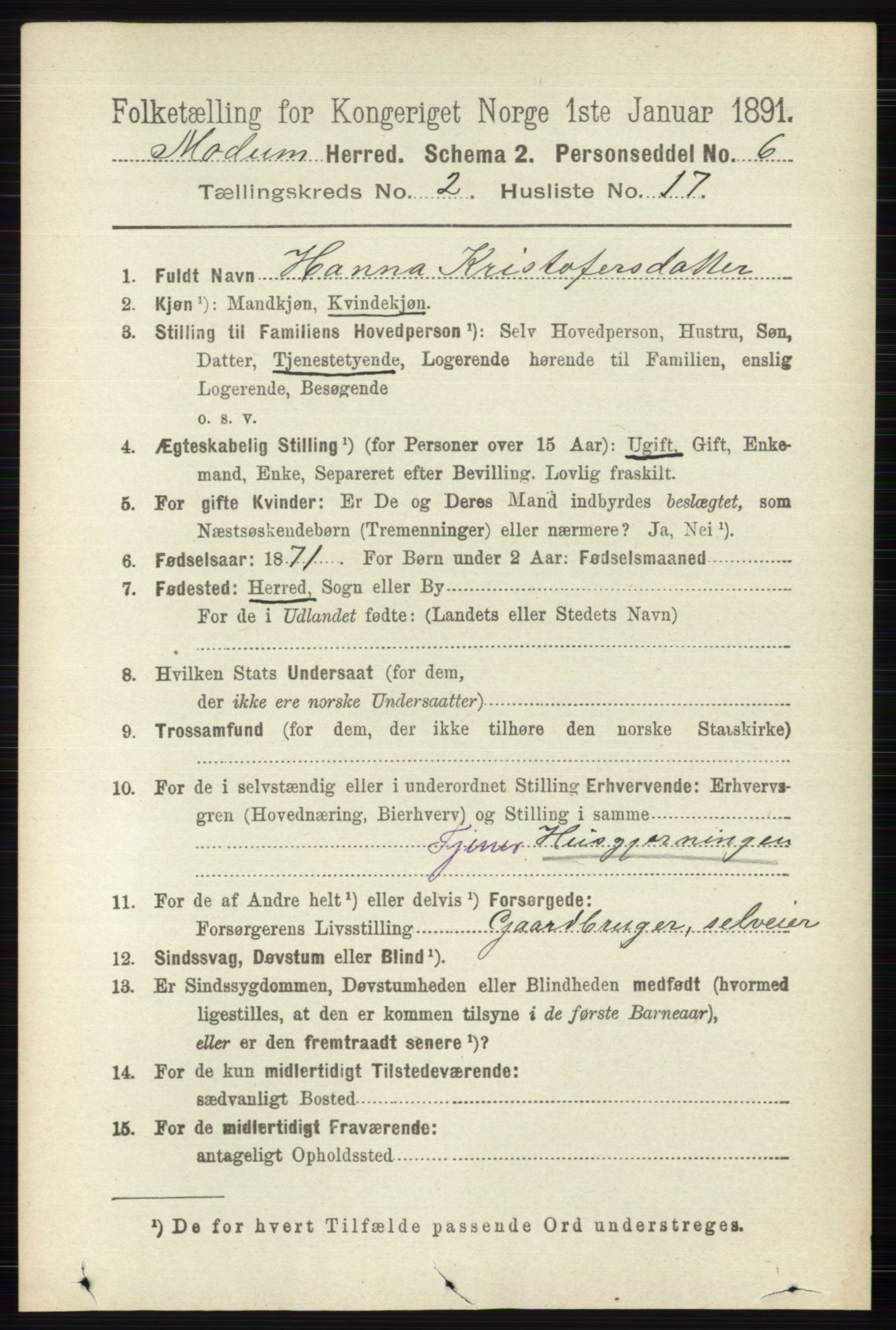 RA, 1891 census for 0623 Modum, 1891, p. 567