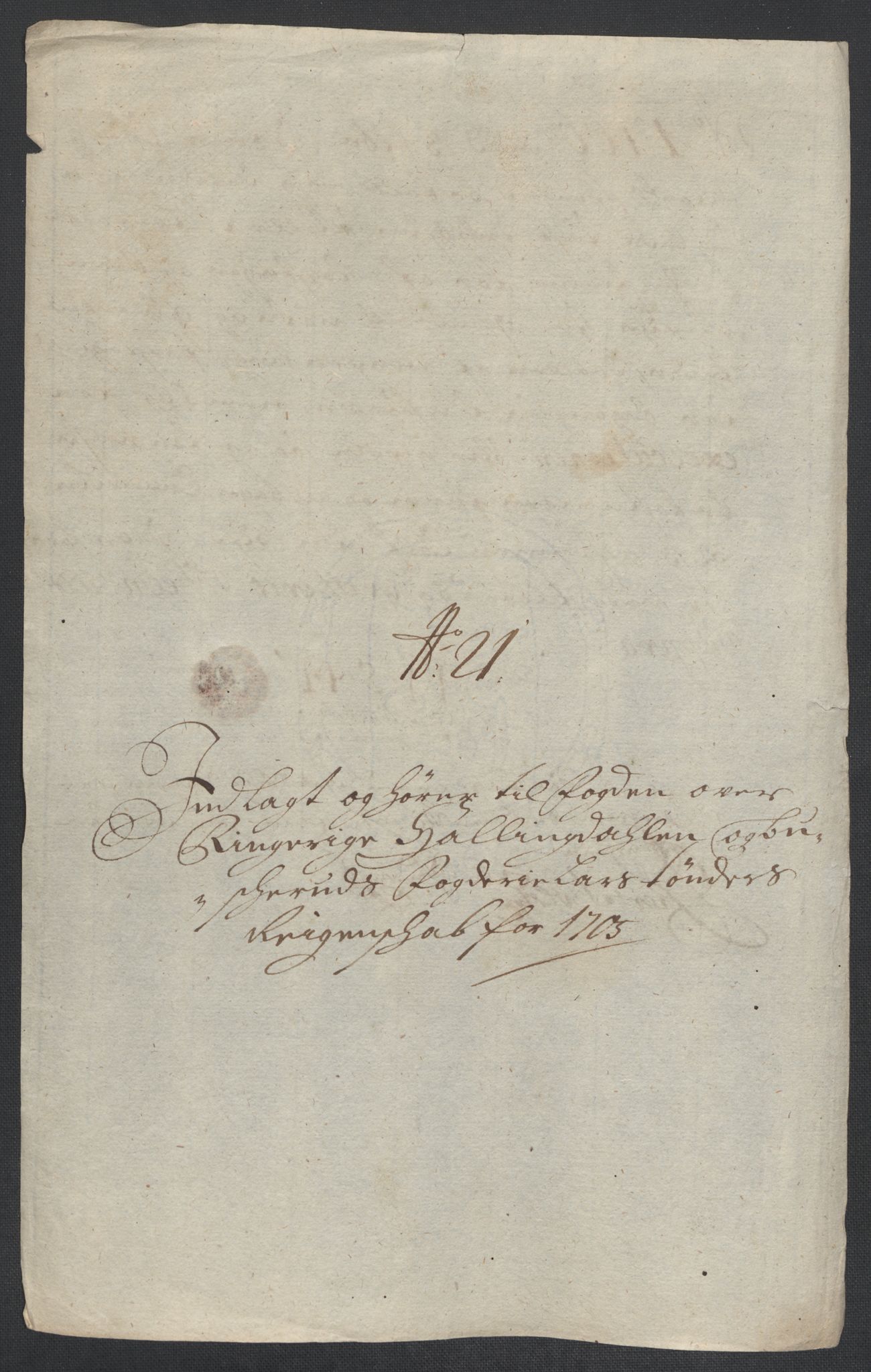 Rentekammeret inntil 1814, Reviderte regnskaper, Fogderegnskap, AV/RA-EA-4092/R22/L1464: Fogderegnskap Ringerike, Hallingdal og Buskerud, 1705, p. 254