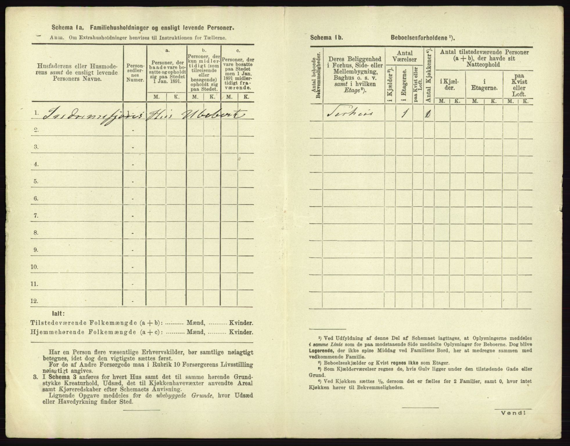 RA, 1891 census for 0101 Fredrikshald, 1891, p. 993