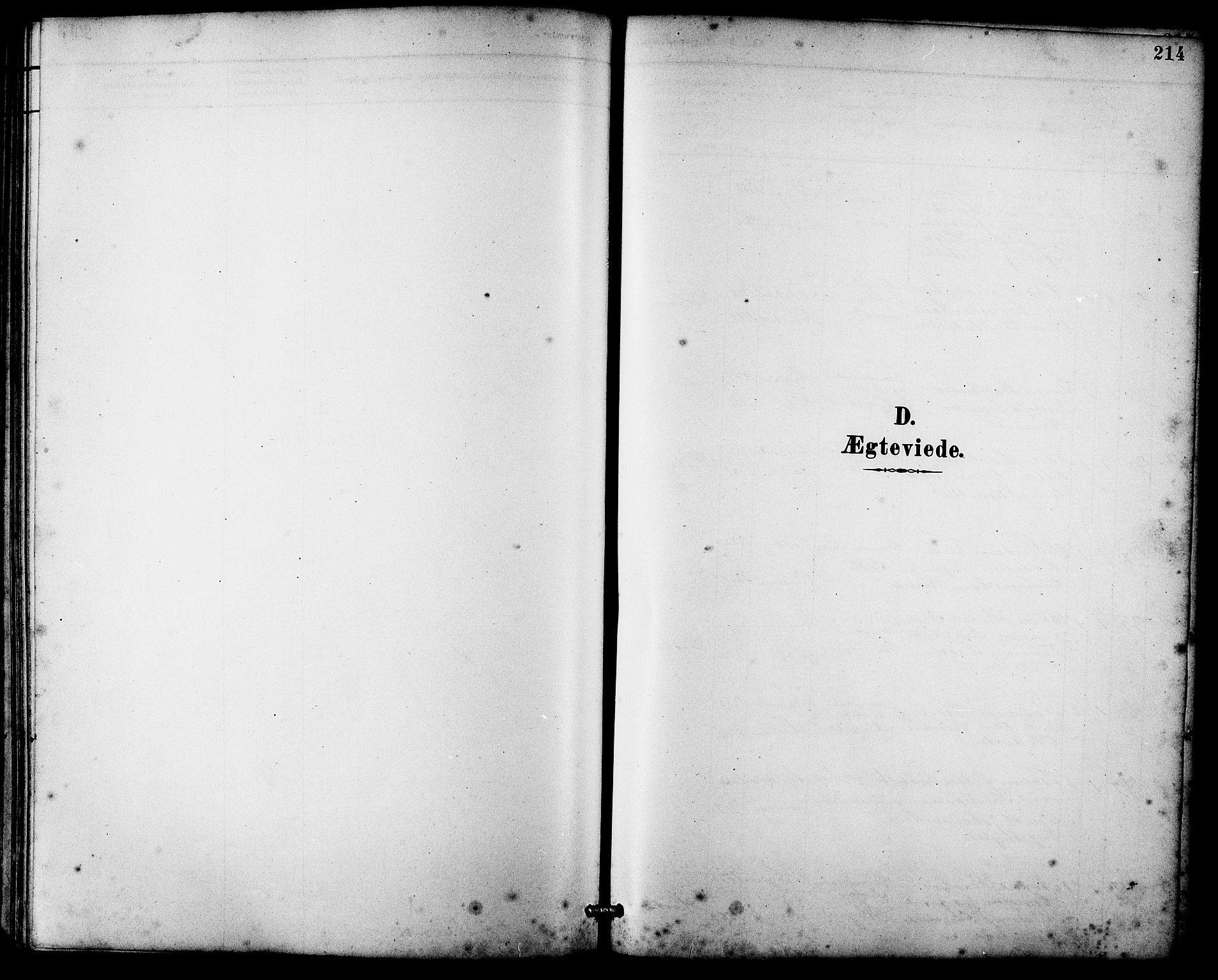 Ministerialprotokoller, klokkerbøker og fødselsregistre - Møre og Romsdal, SAT/A-1454/536/L0510: Parish register (copy) no. 536C05, 1881-1898, p. 214