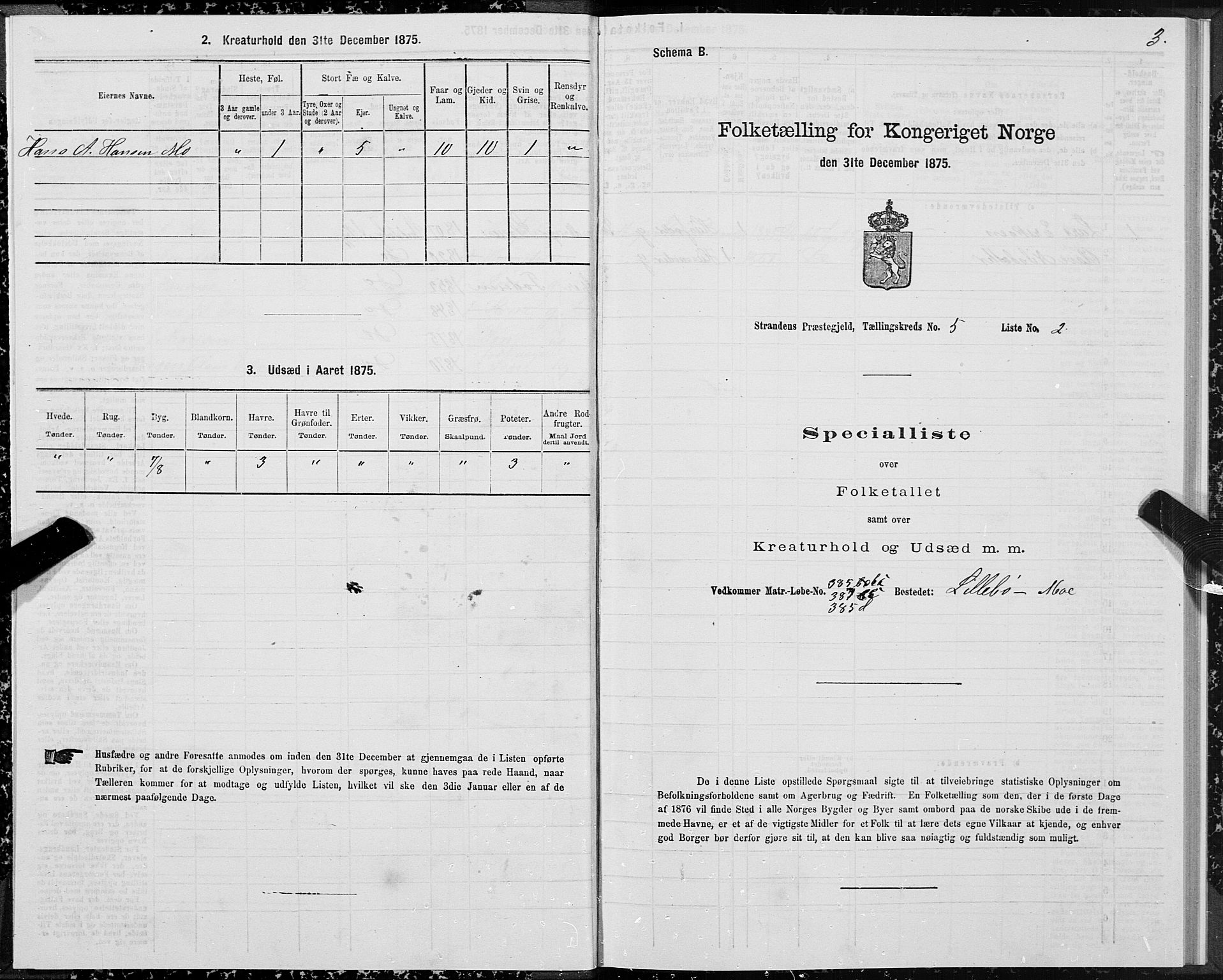 SAT, 1875 census for 1525P Stranda, 1875, p. 3003