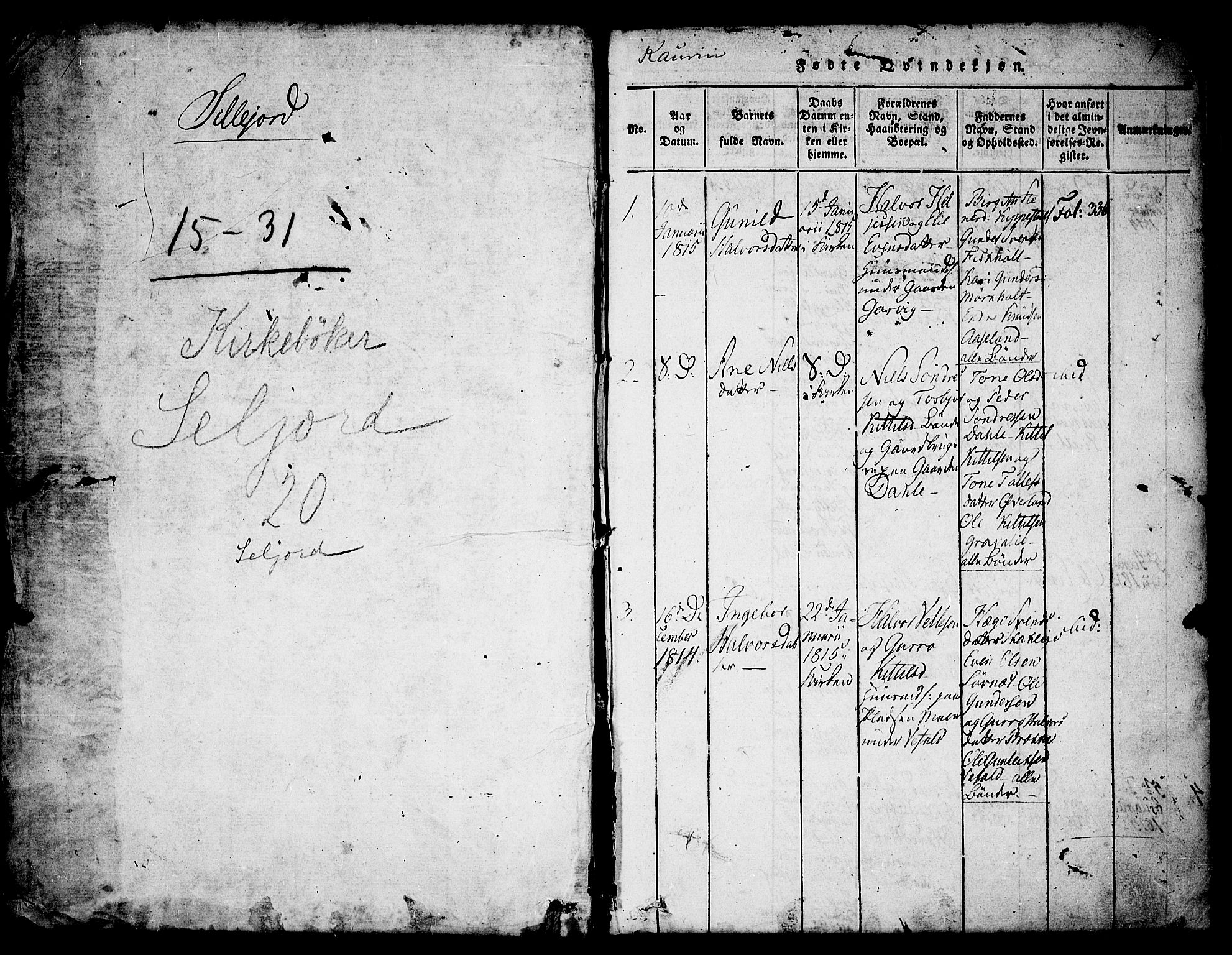 Seljord kirkebøker, AV/SAKO-A-20/F/Fa/L0010: Parish register (official) no. I 10, 1815-1831, p. 1