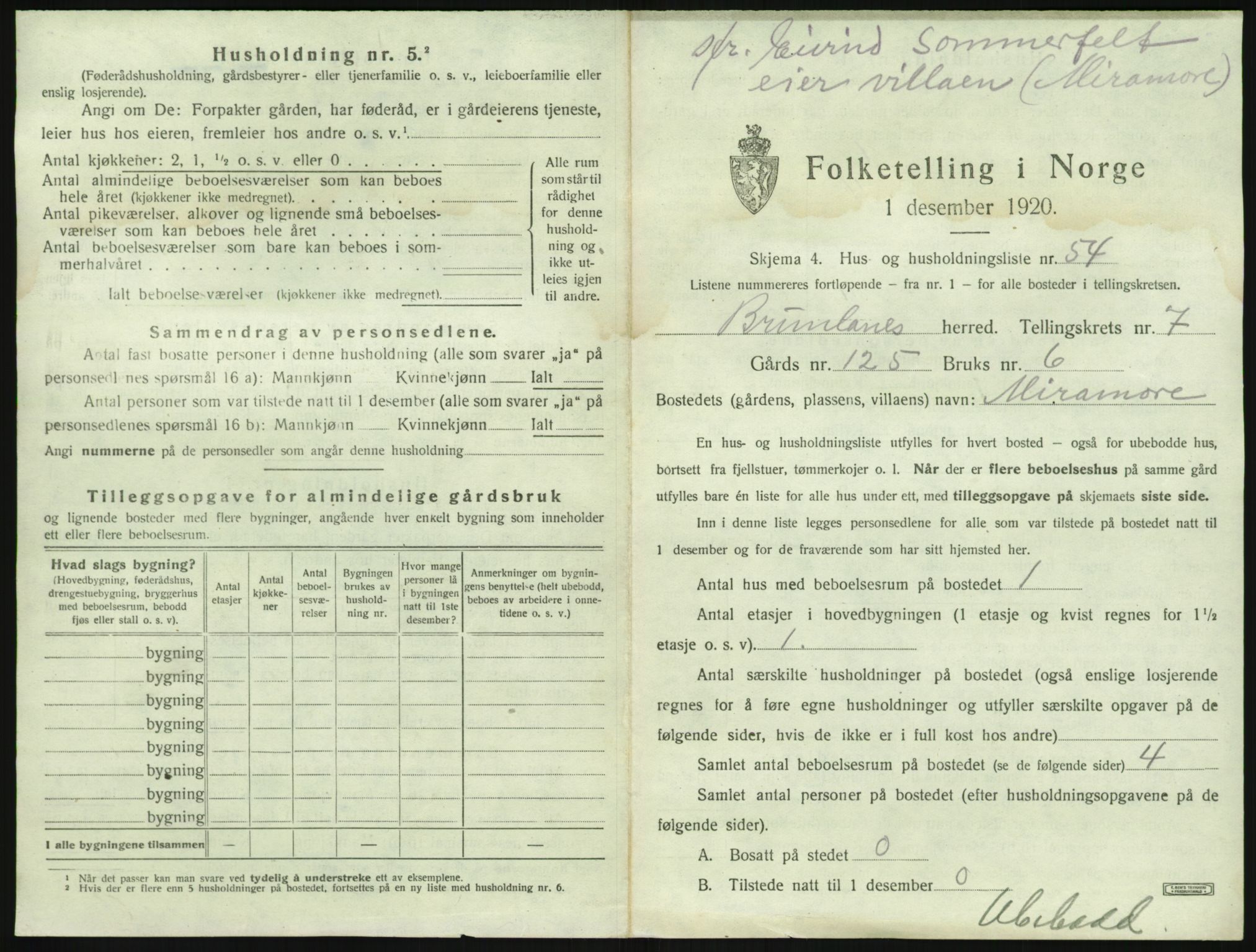 SAKO, 1920 census for Brunlanes, 1920, p. 1029