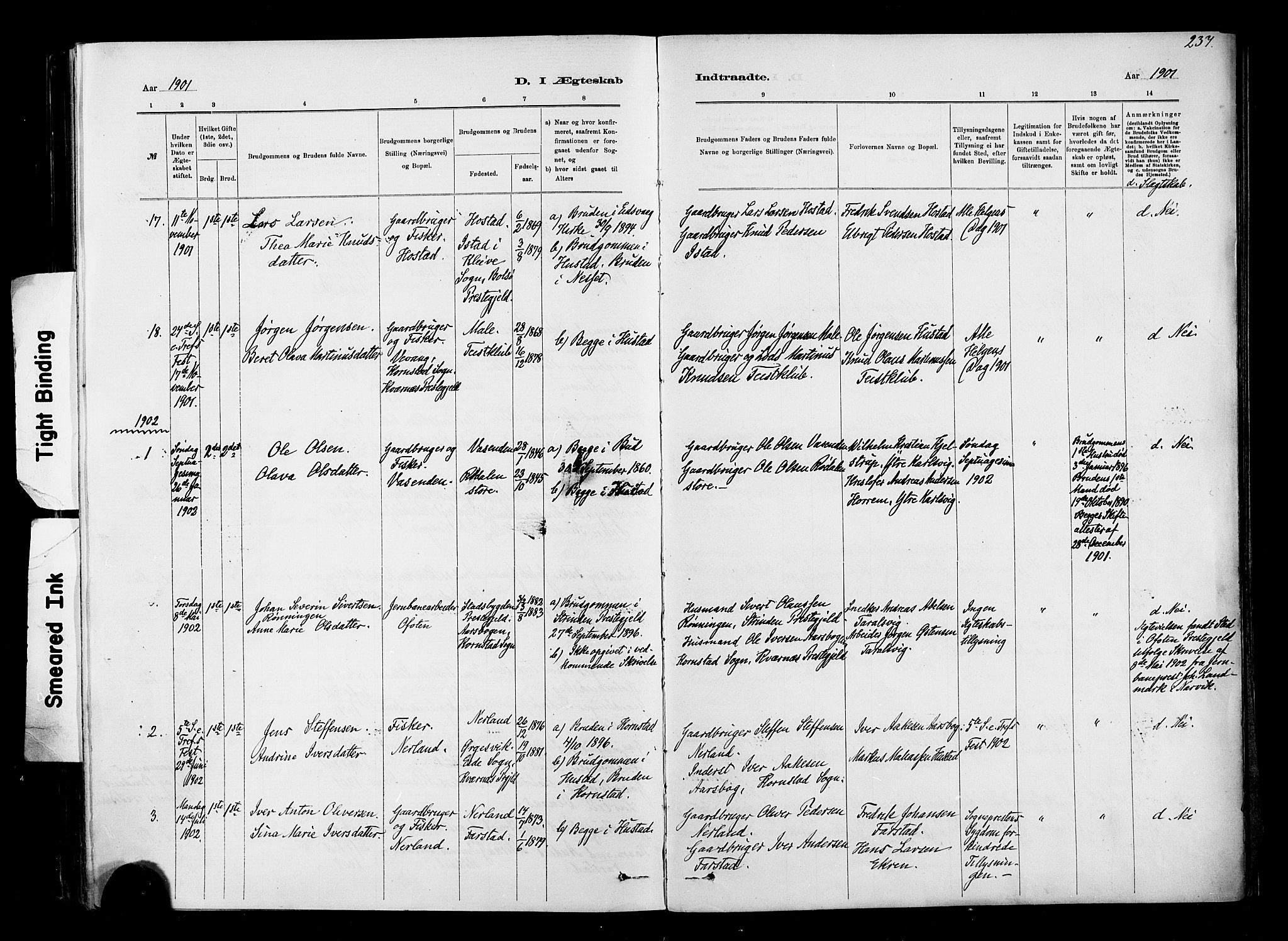 Ministerialprotokoller, klokkerbøker og fødselsregistre - Møre og Romsdal, AV/SAT-A-1454/567/L0778: Parish register (official) no. 567A01, 1881-1903, p. 237