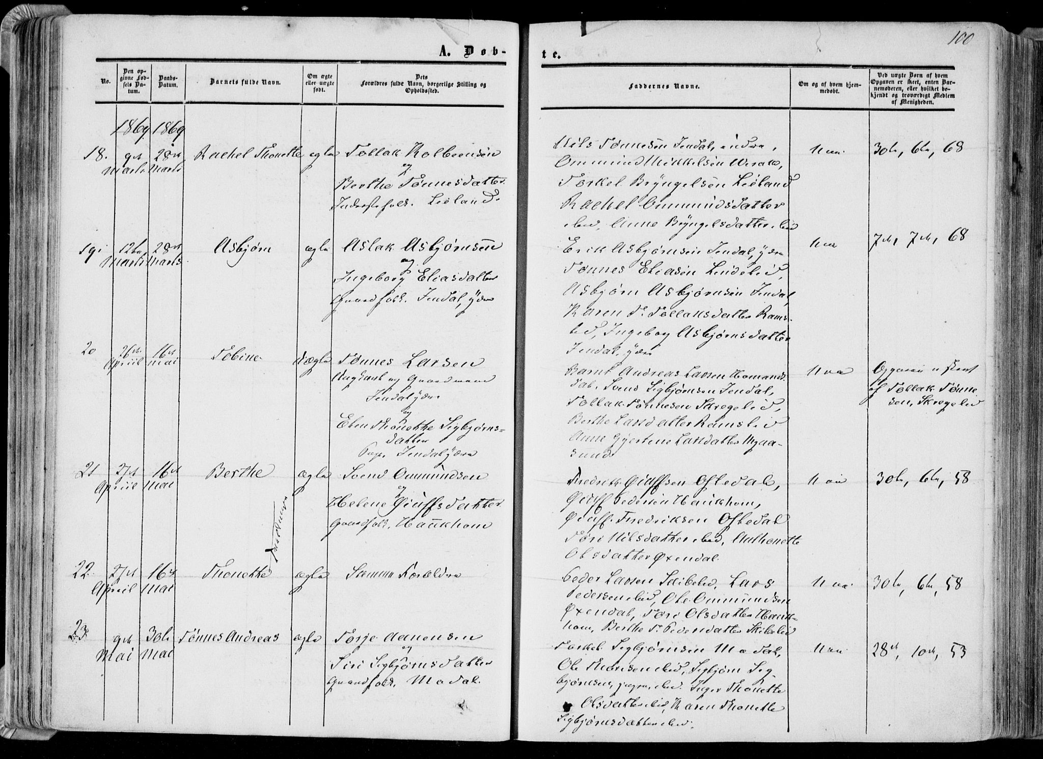 Bakke sokneprestkontor, AV/SAK-1111-0002/F/Fa/Faa/L0006: Parish register (official) no. A 6, 1855-1877, p. 100