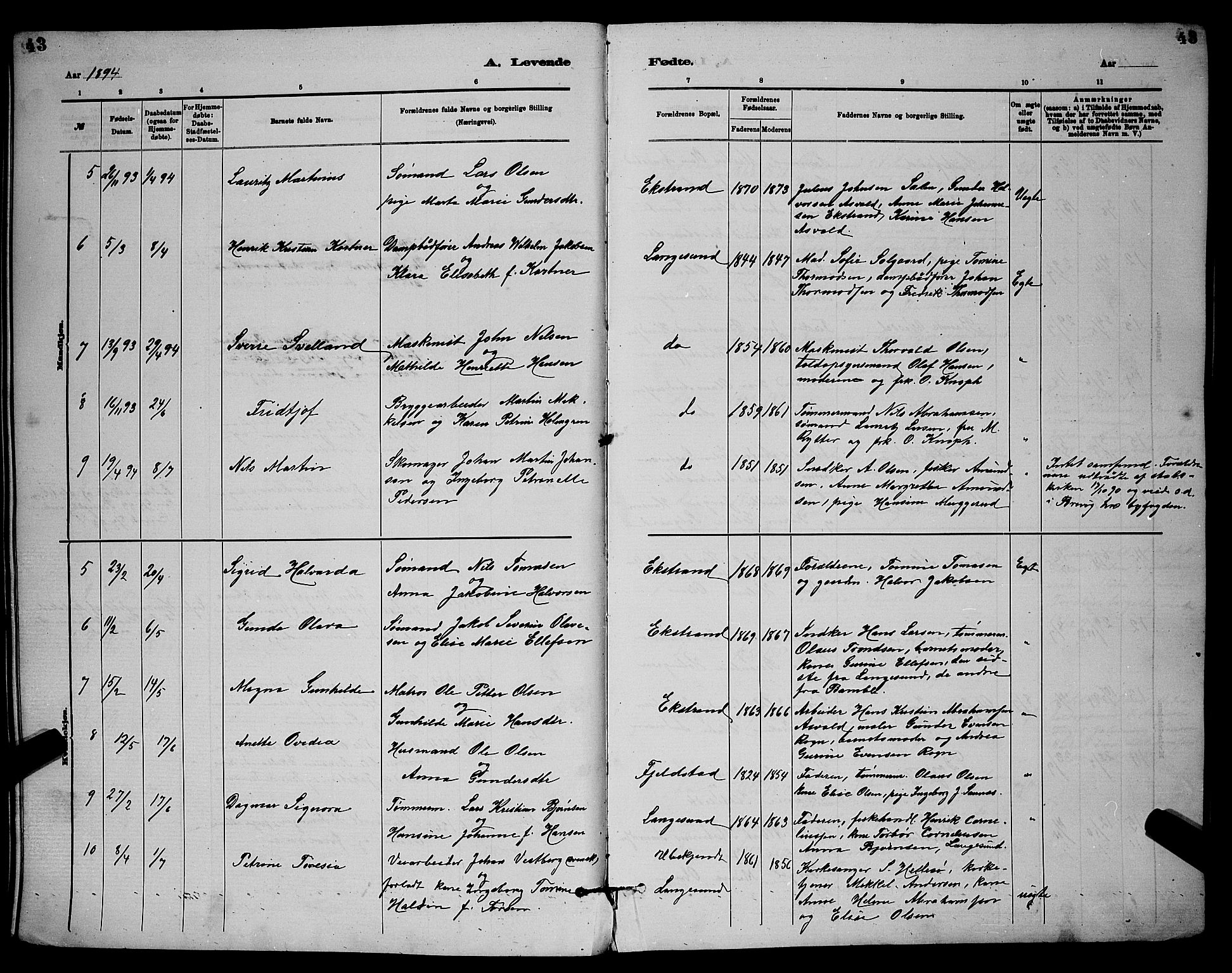 Langesund kirkebøker, AV/SAKO-A-280/G/Ga/L0005: Parish register (copy) no. 5, 1884-1898, p. 43