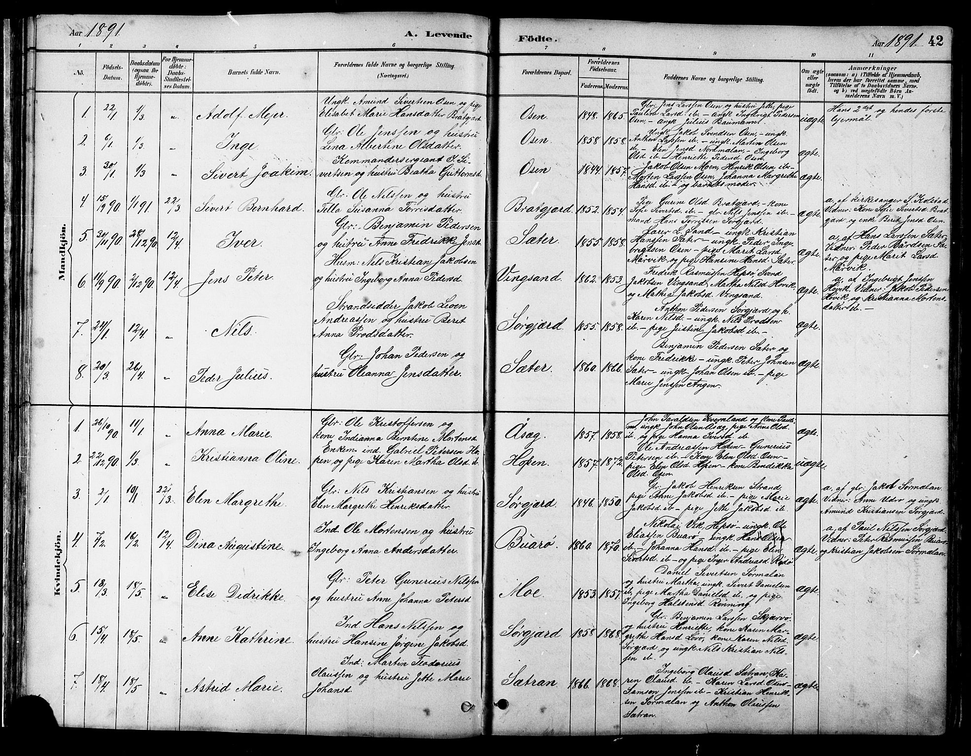 Ministerialprotokoller, klokkerbøker og fødselsregistre - Sør-Trøndelag, AV/SAT-A-1456/658/L0726: Parish register (copy) no. 658C02, 1883-1908, p. 42