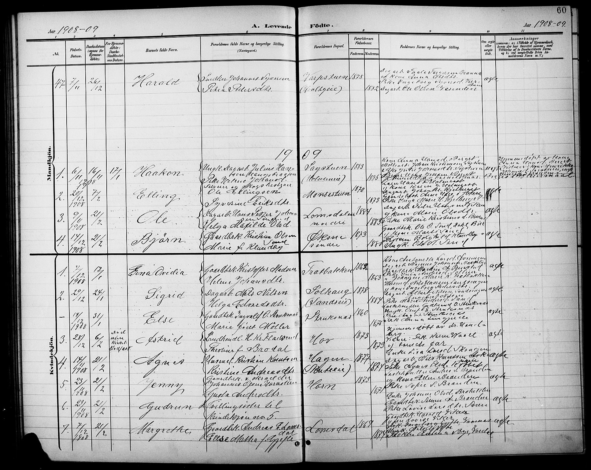 Søndre Land prestekontor, SAH/PREST-122/L/L0004: Parish register (copy) no. 4, 1901-1915, p. 60