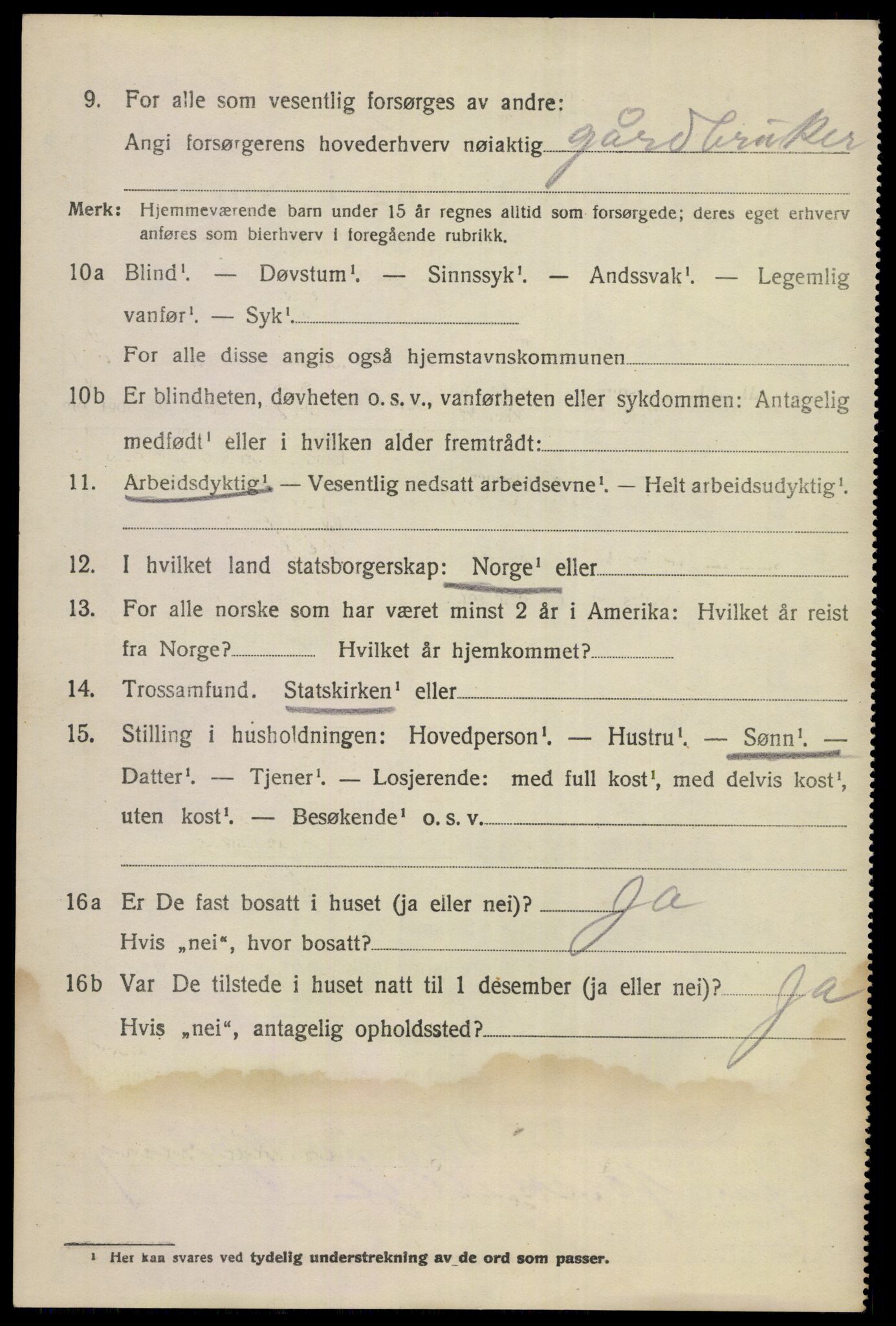 SAKO, 1920 census for Nes (Buskerud), 1920, p. 1267