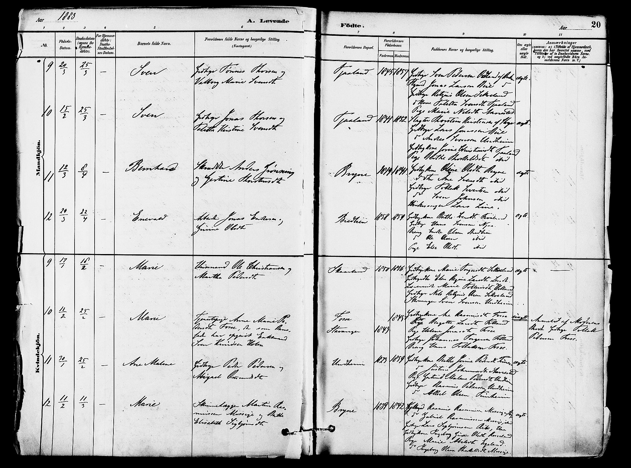 Lye sokneprestkontor, AV/SAST-A-101794/001/30BA/L0009: Parish register (official) no. A 8, 1881-1892, p. 20