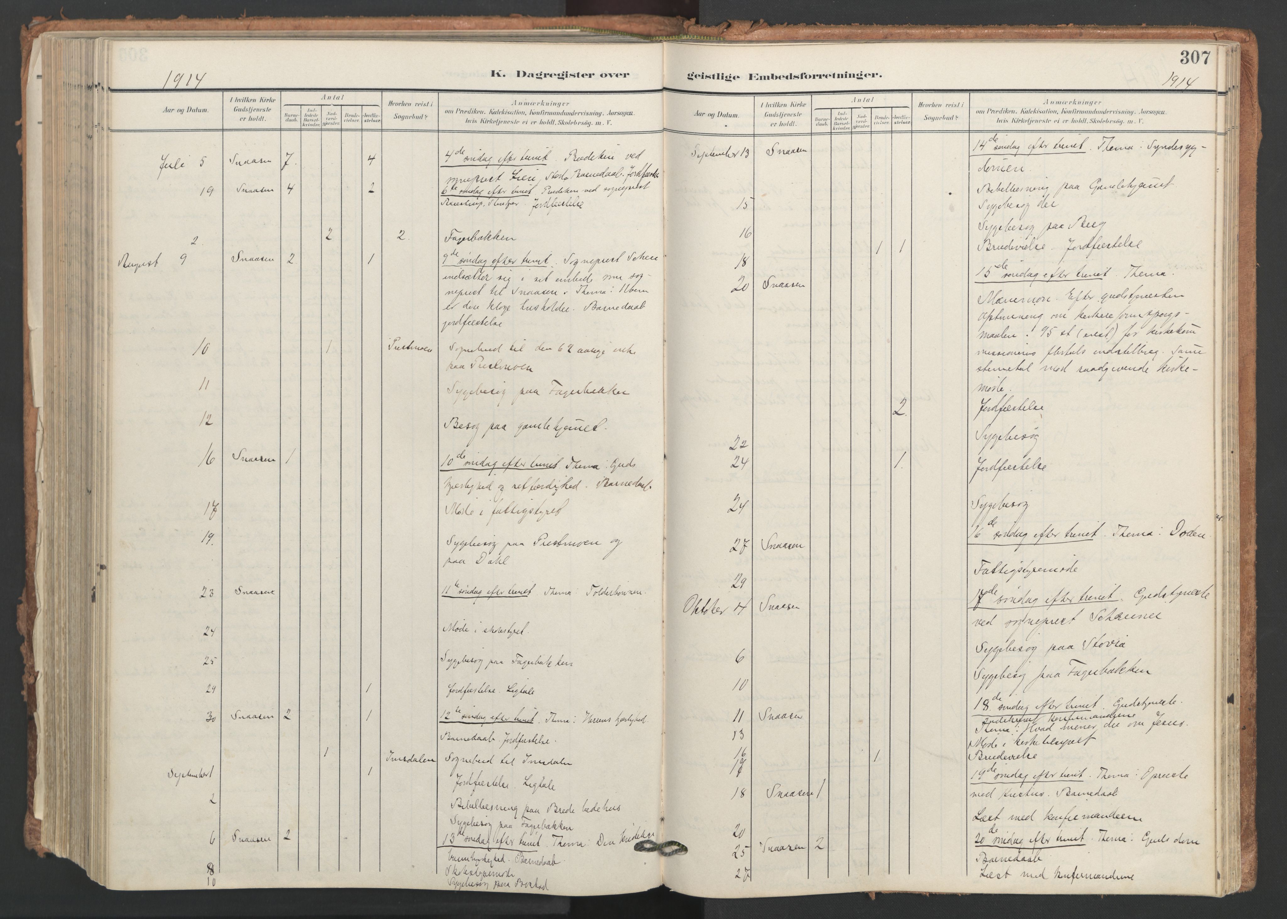 Ministerialprotokoller, klokkerbøker og fødselsregistre - Nord-Trøndelag, AV/SAT-A-1458/749/L0477: Parish register (official) no. 749A11, 1902-1927, p. 307