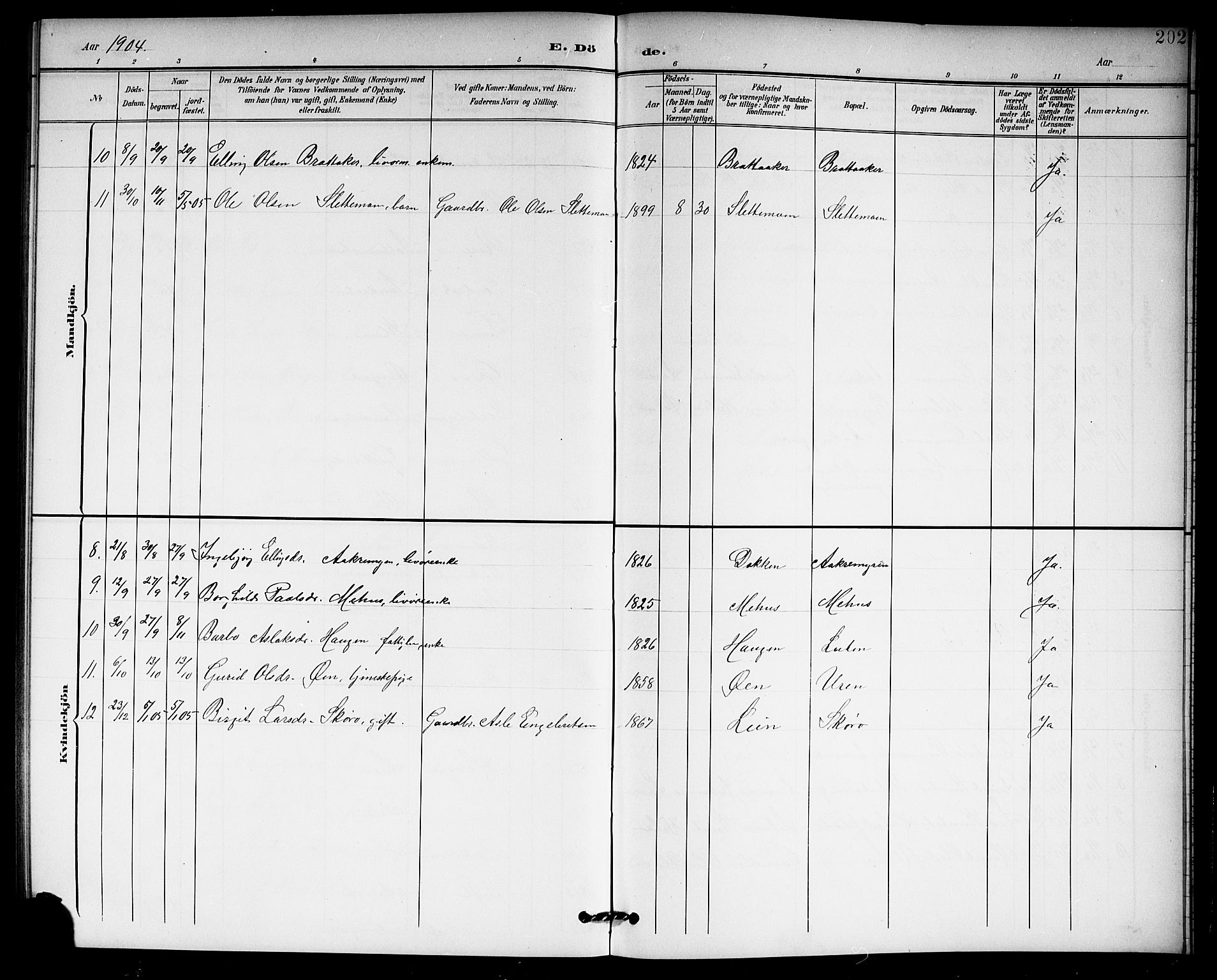 Hol kirkebøker, SAKO/A-227/G/Ga/L0001: Parish register (copy) no. I 1, 1900-1919, p. 202