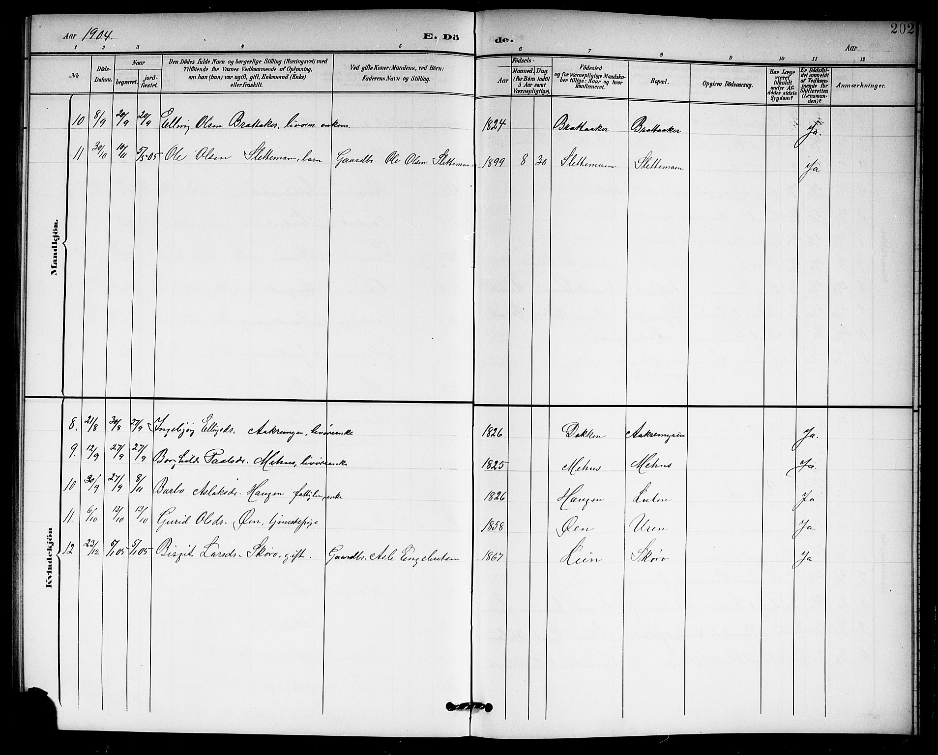 Hol kirkebøker, AV/SAKO-A-227/G/Ga/L0001: Parish register (copy) no. I 1, 1900-1919, p. 202